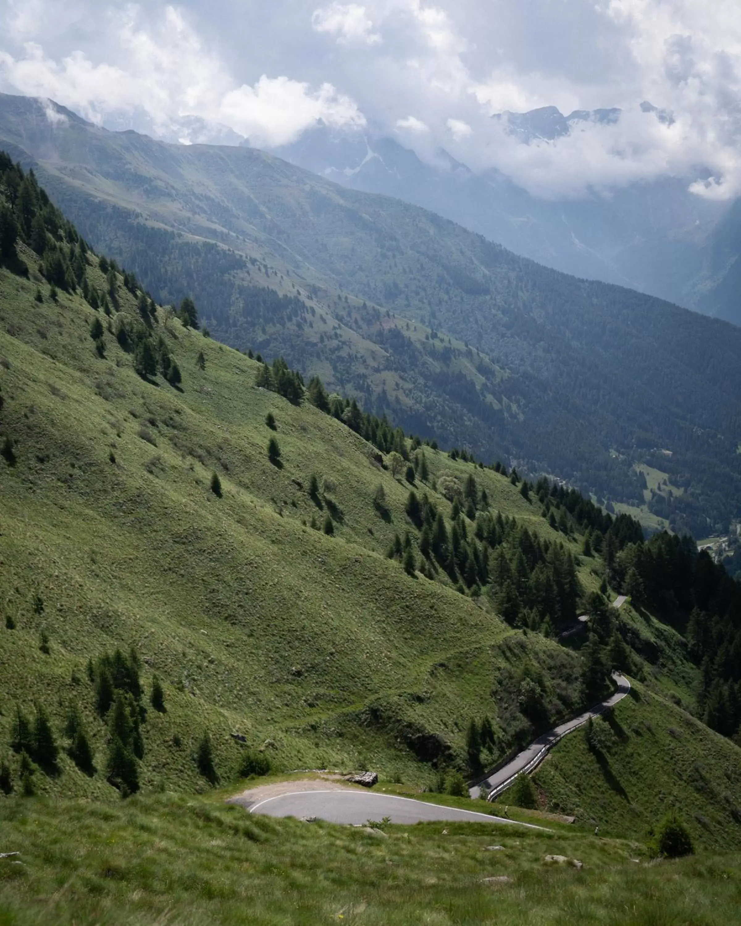 Natural landscape in La Genzianella Bormio