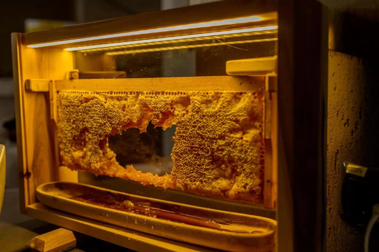 Food and drinks in Elexus Predeal