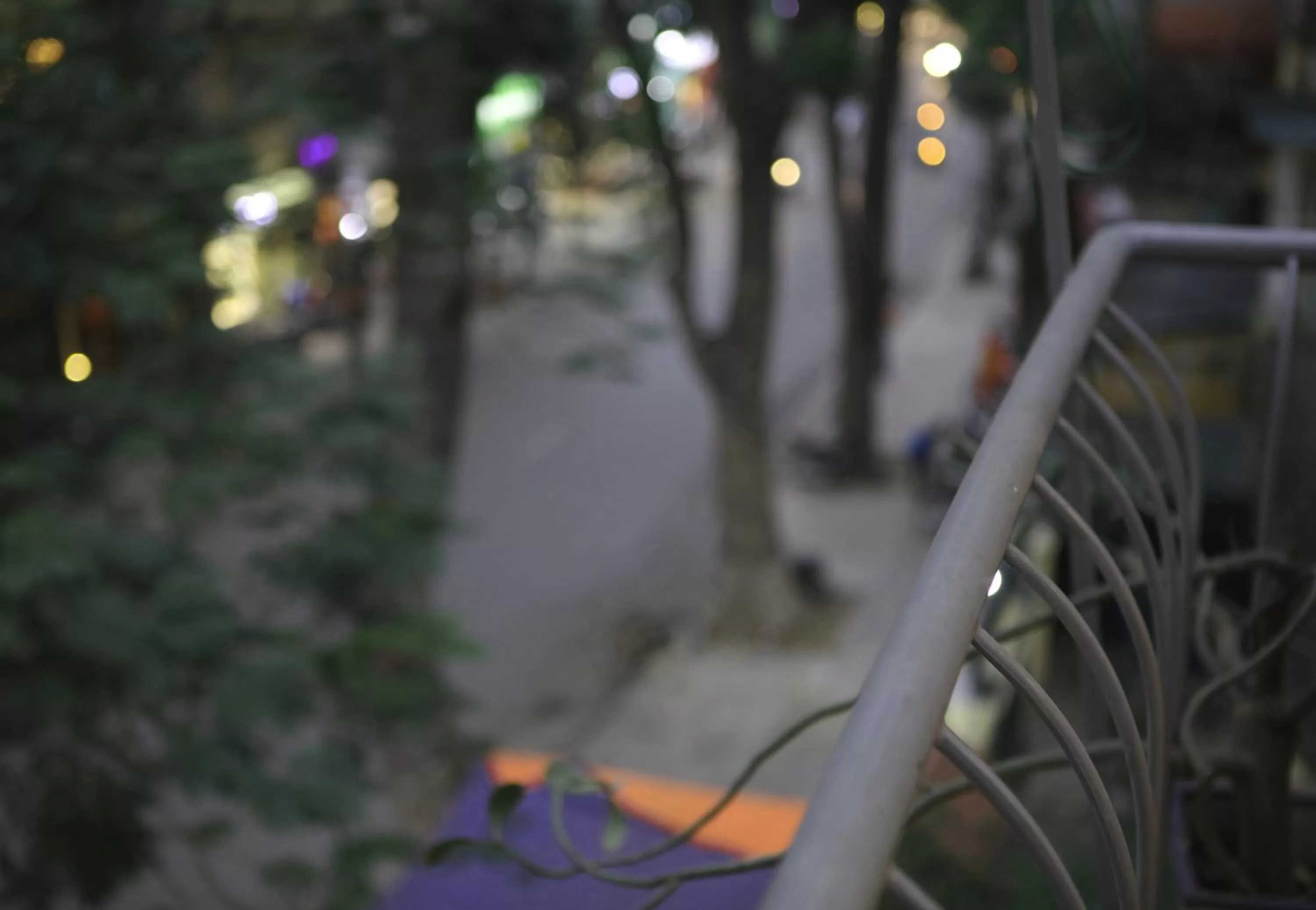 Garden view in The First Ba Trieu