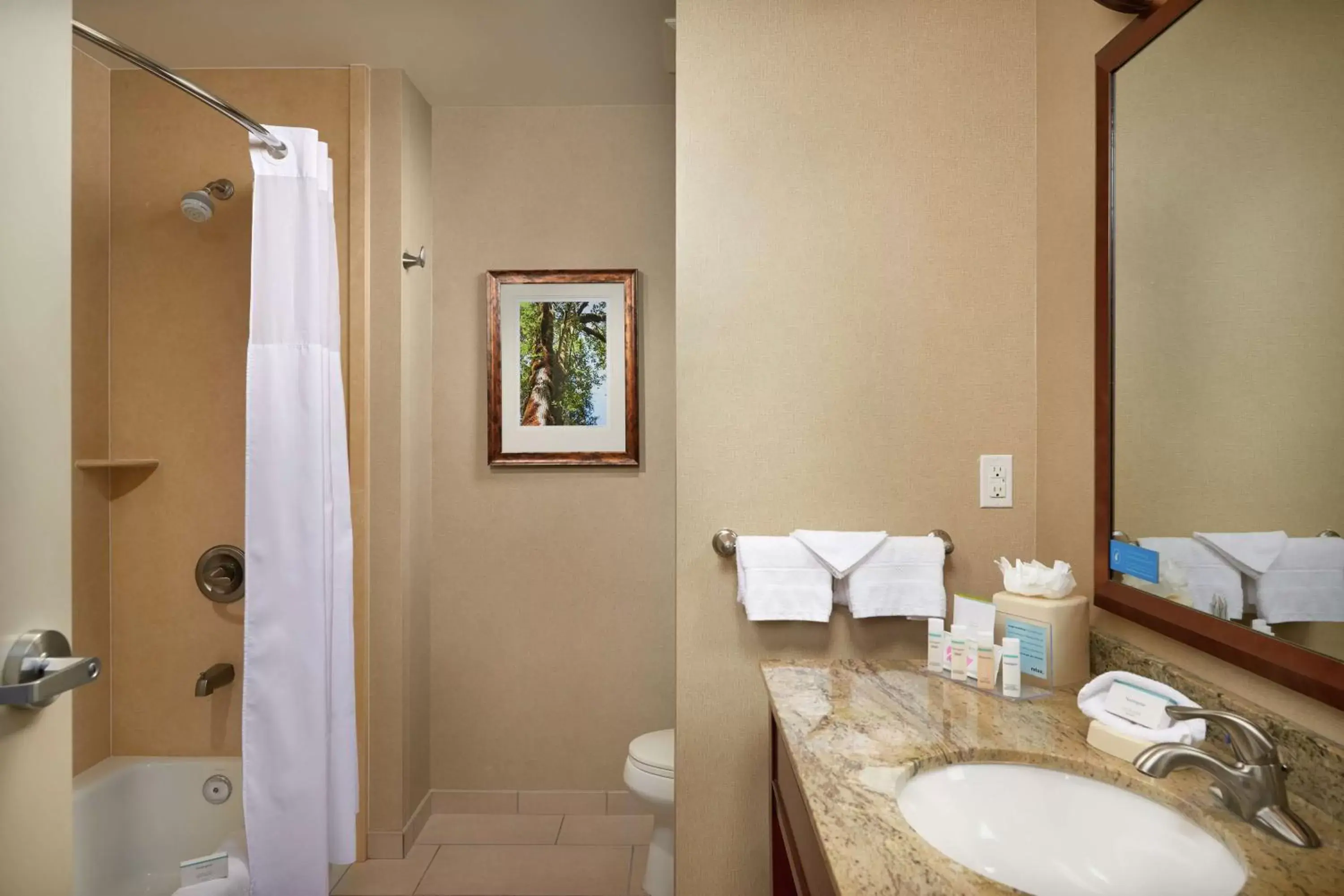Bathroom in Hampton Inn and Suites Salem