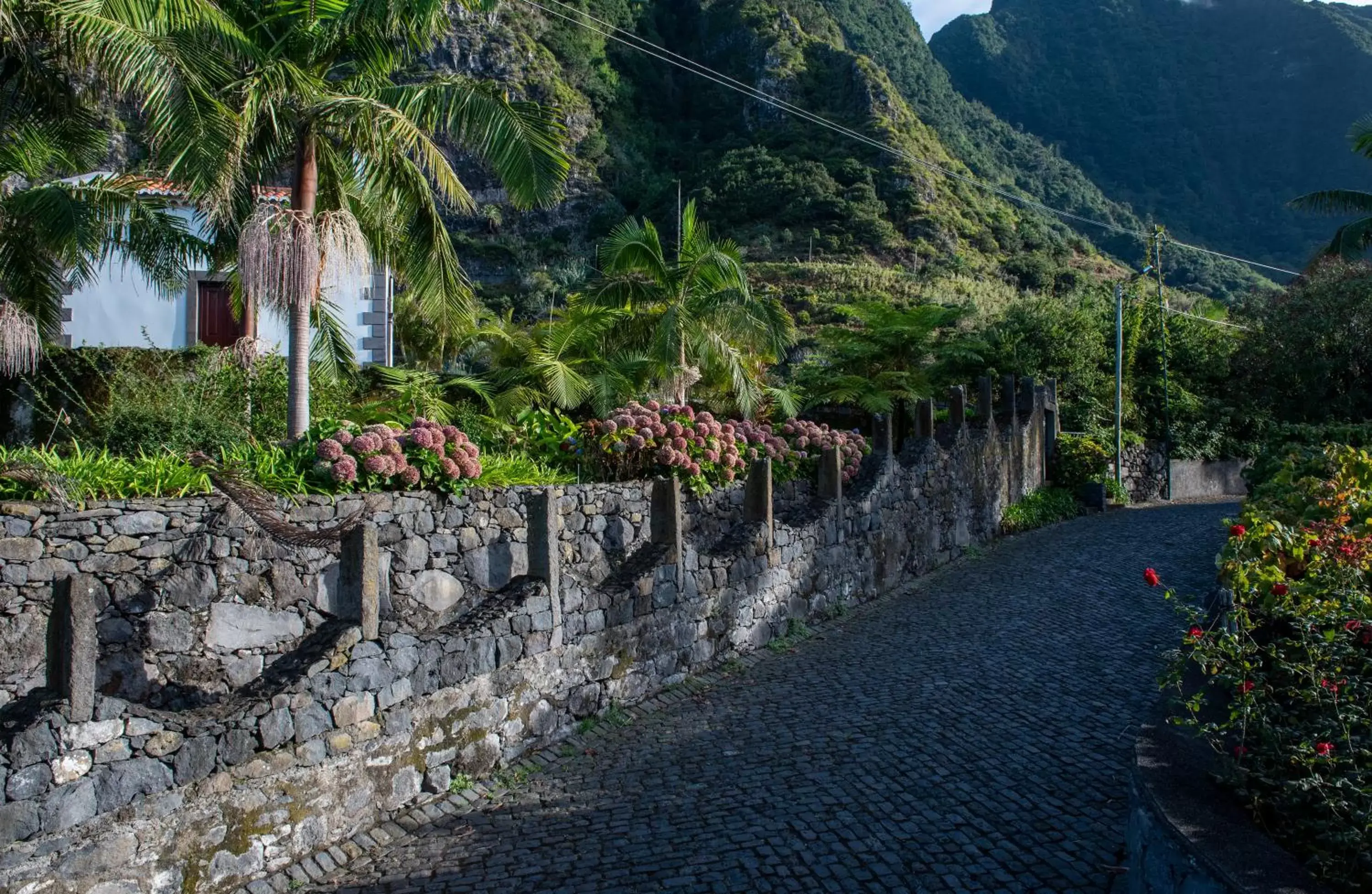 Natural landscape in Monte Mar Palace Hotel