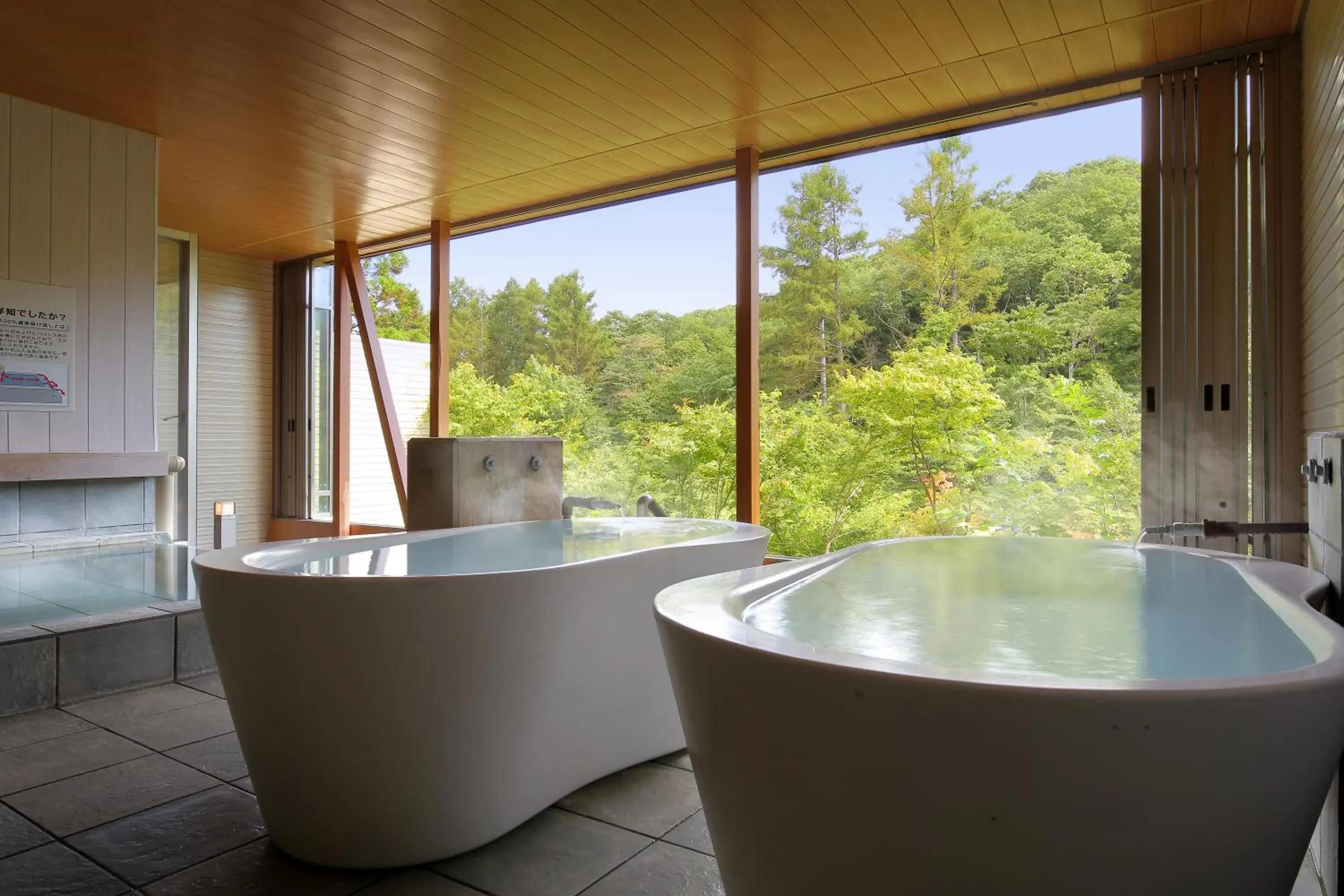 Hot Spring Bath in Hotel Ryu Resort and Spa