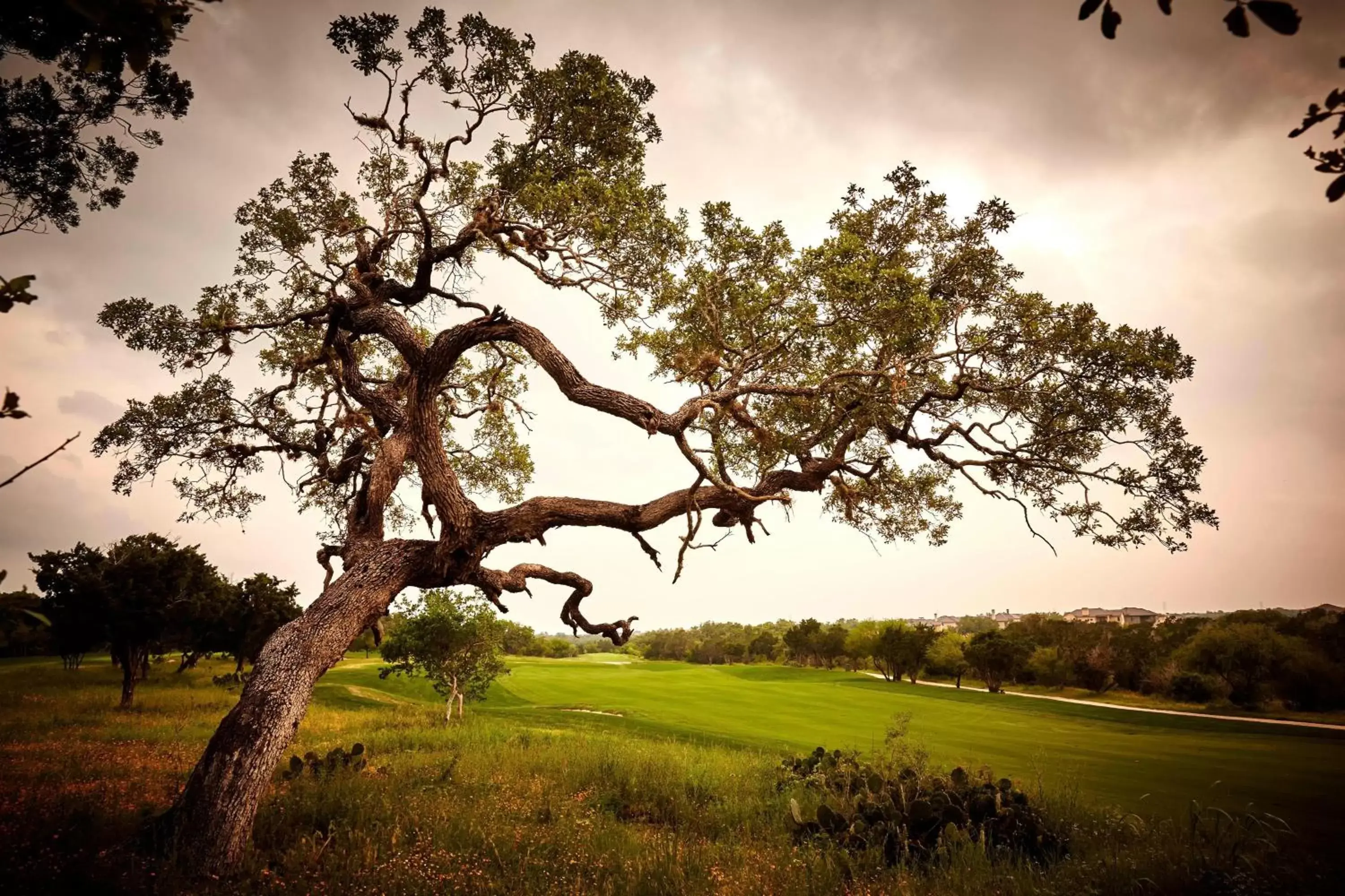 Golfcourse in JW Marriott San Antonio Hill Country Resort & Spa