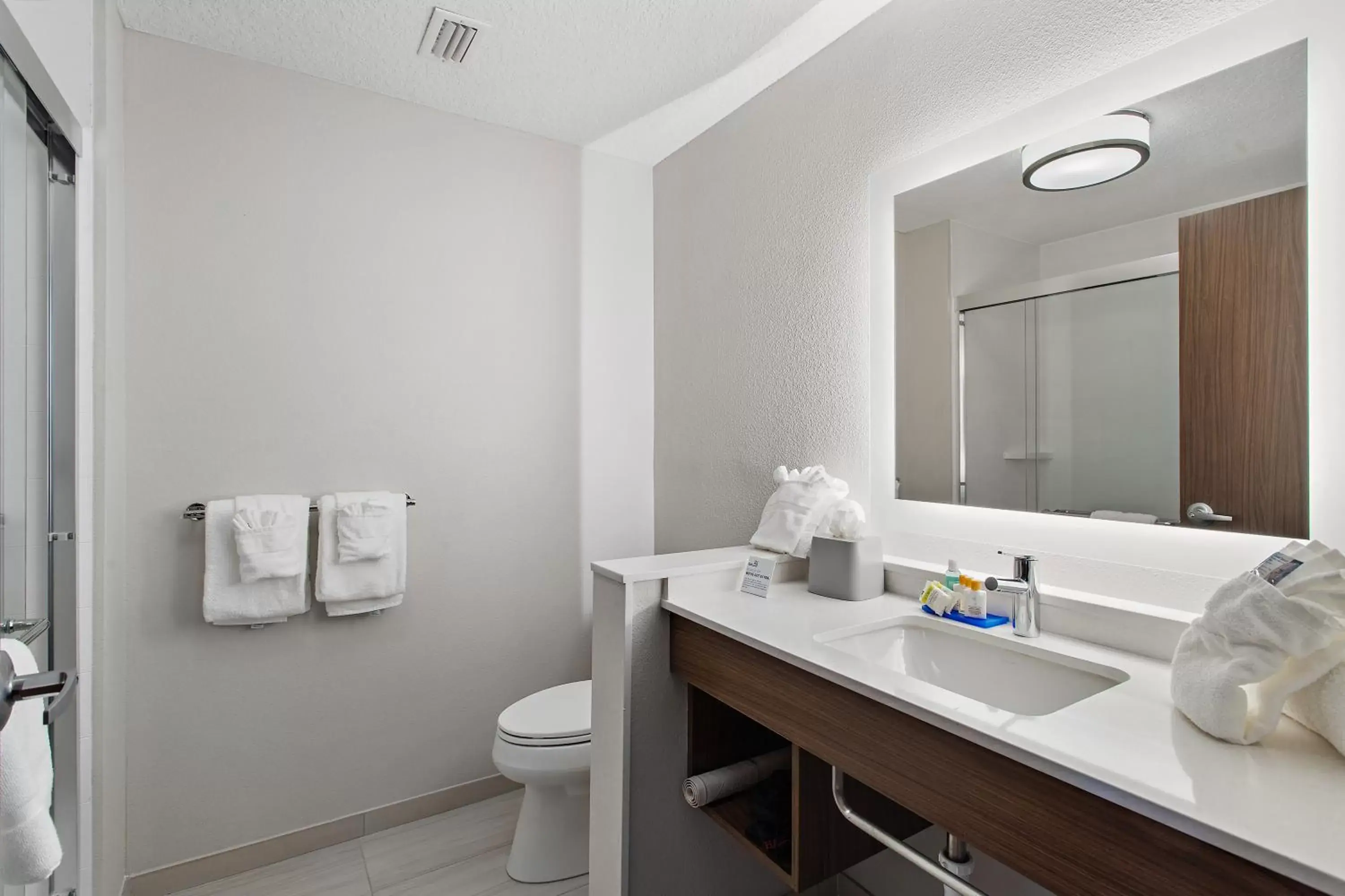 Bathroom in Holiday Inn Express St. Augustine - Vilano Beach, an IHG Hotel