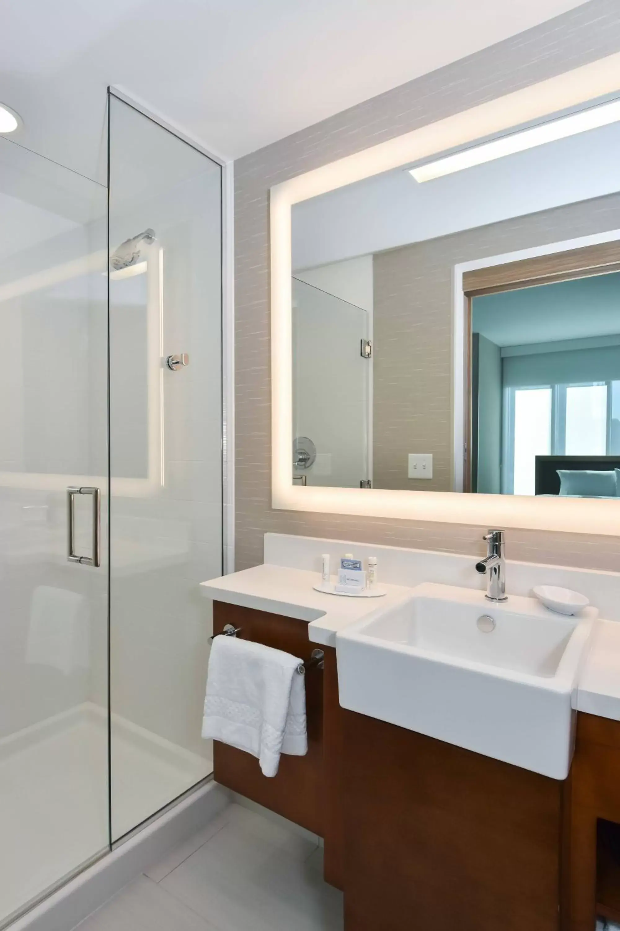 Bathroom in SpringHill Suites by Marriott Charlotte City Center
