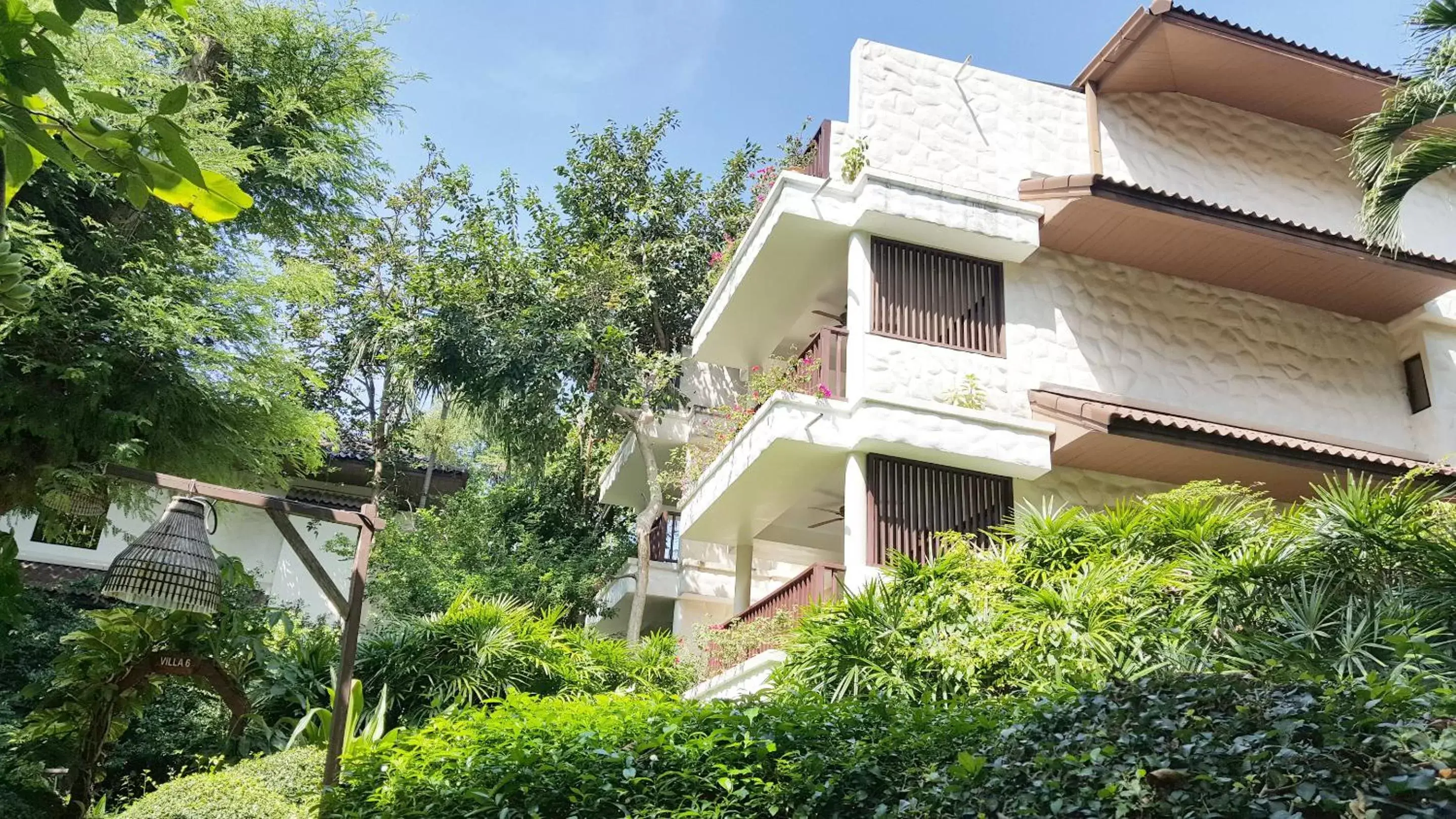 Garden view in Birds and Bees Resort Garden view in Birds and Bees Resort