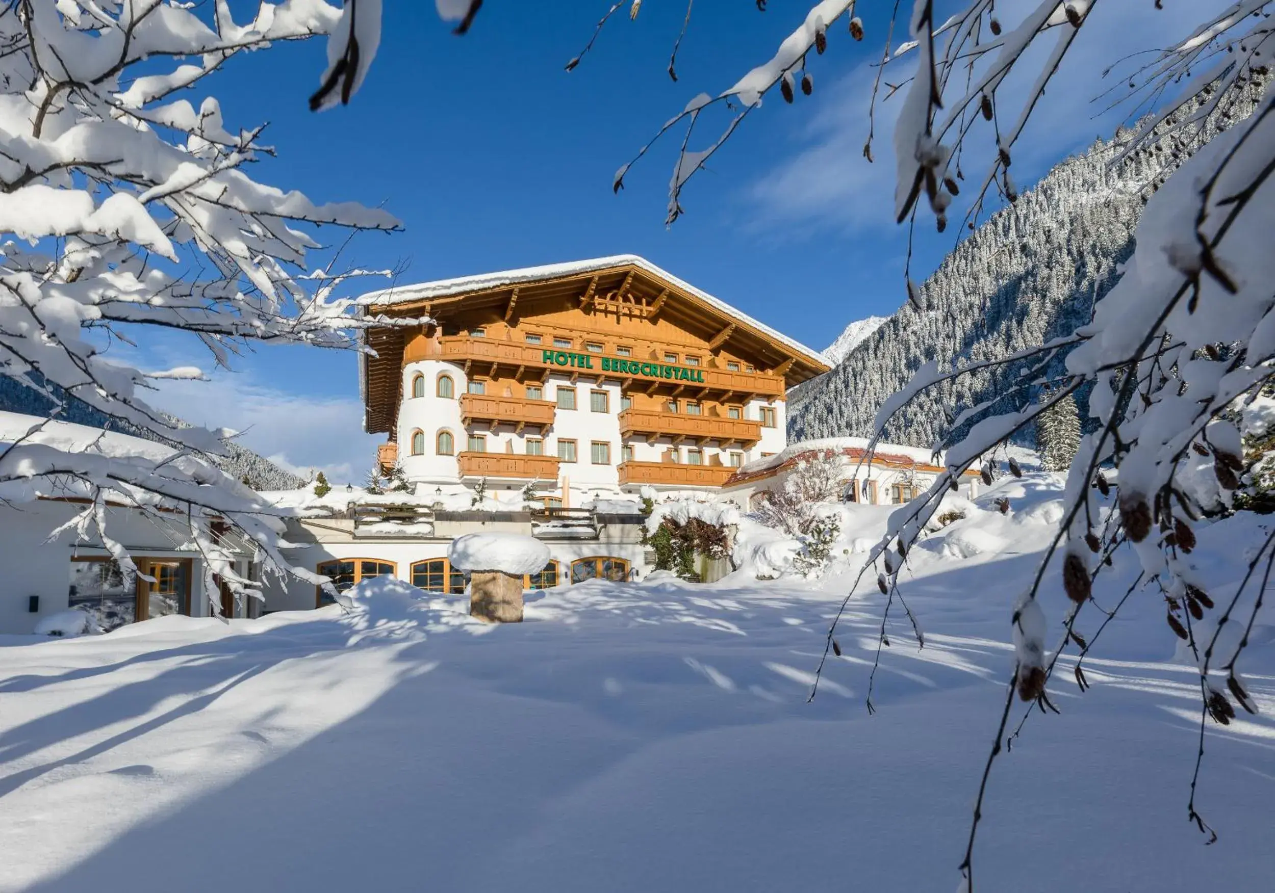 Aktiv & Vitalhotel Bergcristall Aktiv & Vitalhotel Bergcristall