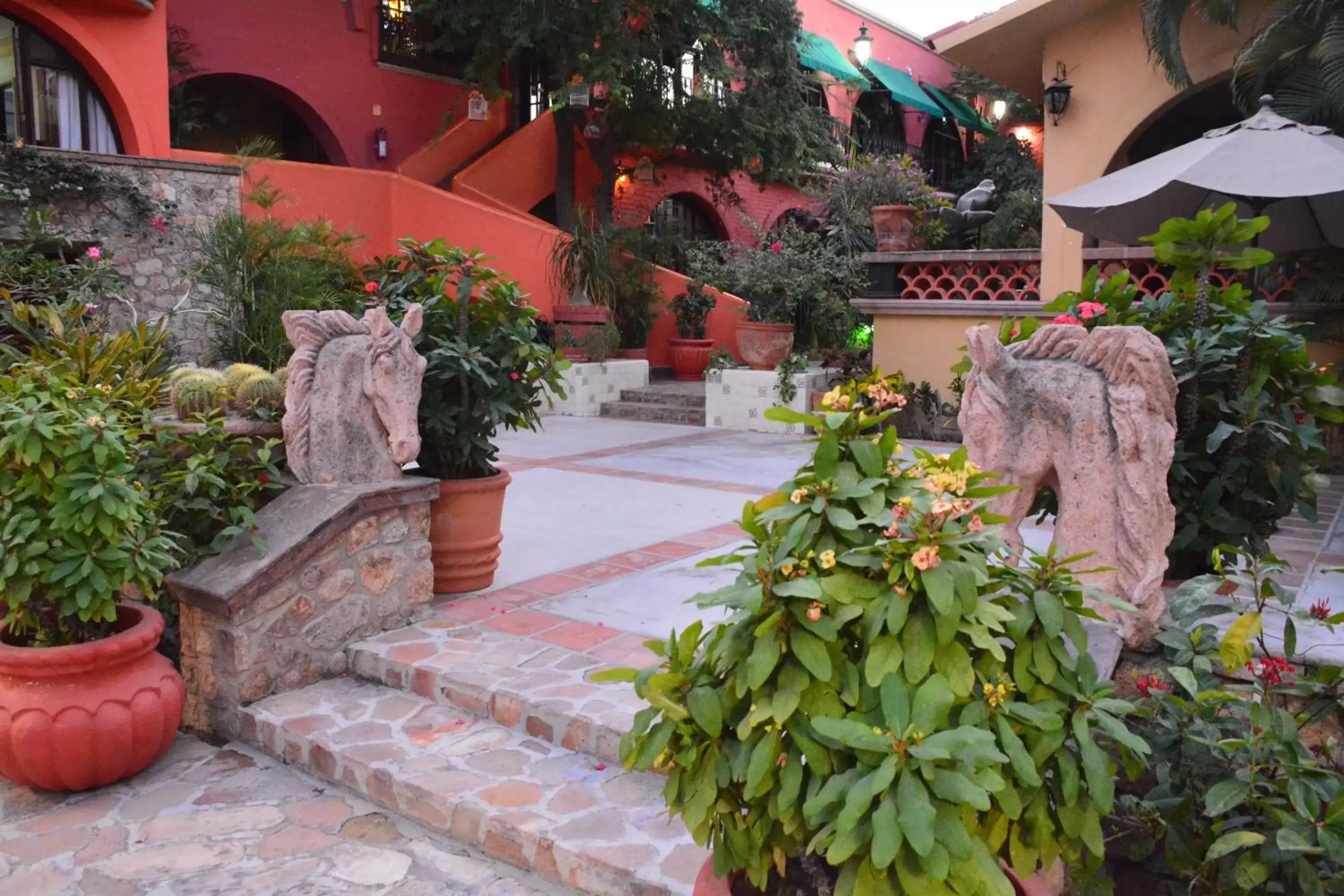 Balcony/Terrace in Collection O Casa Bella Hotel Boutique, Cabo San Lucas