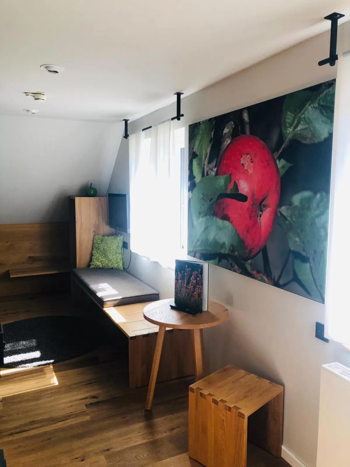 Photo of the whole room in Hotel Waldvogel