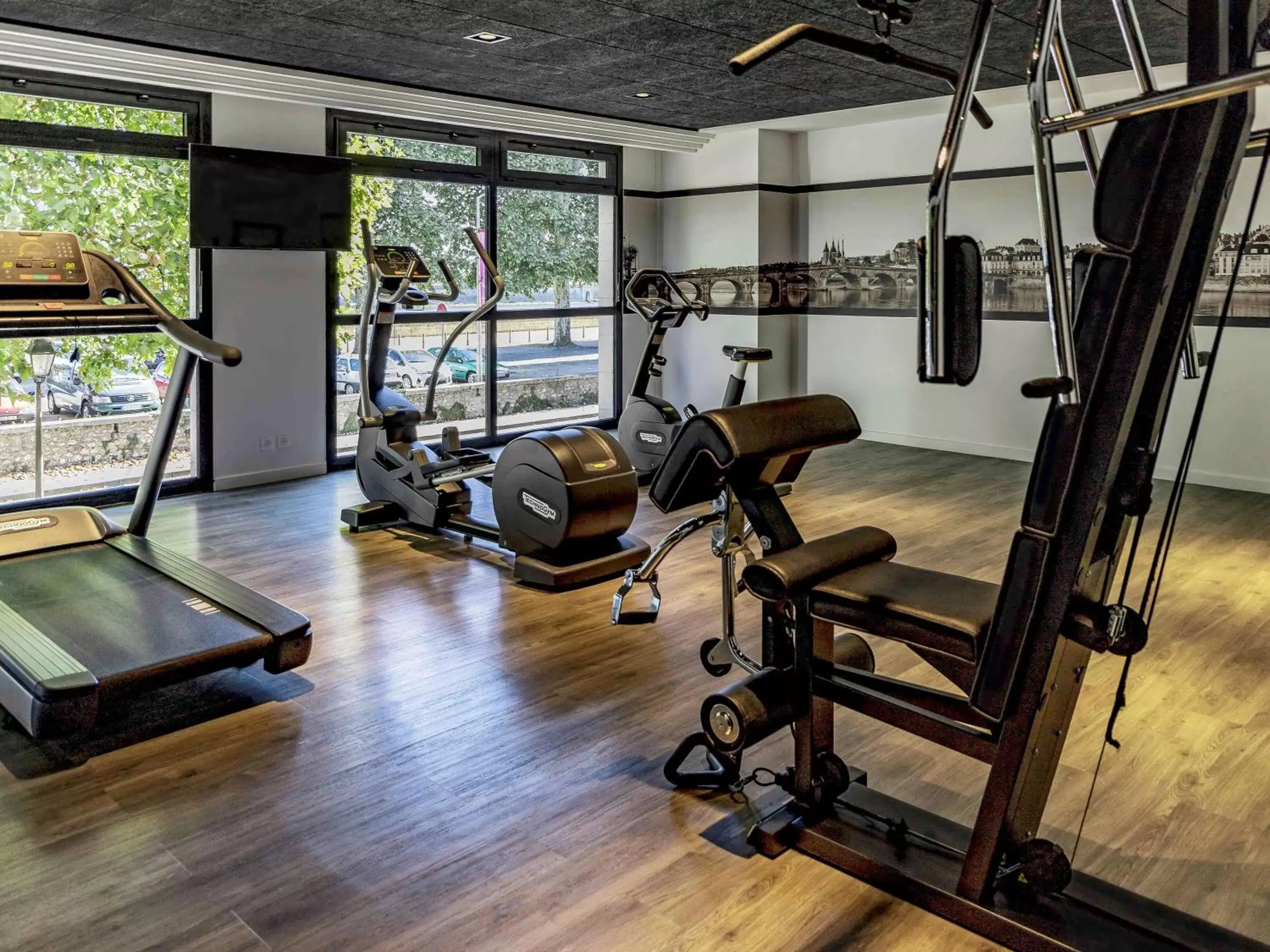 Fitness centre/facilities, Fitness Center/Facilities in Hotel Mercure Blois Centre