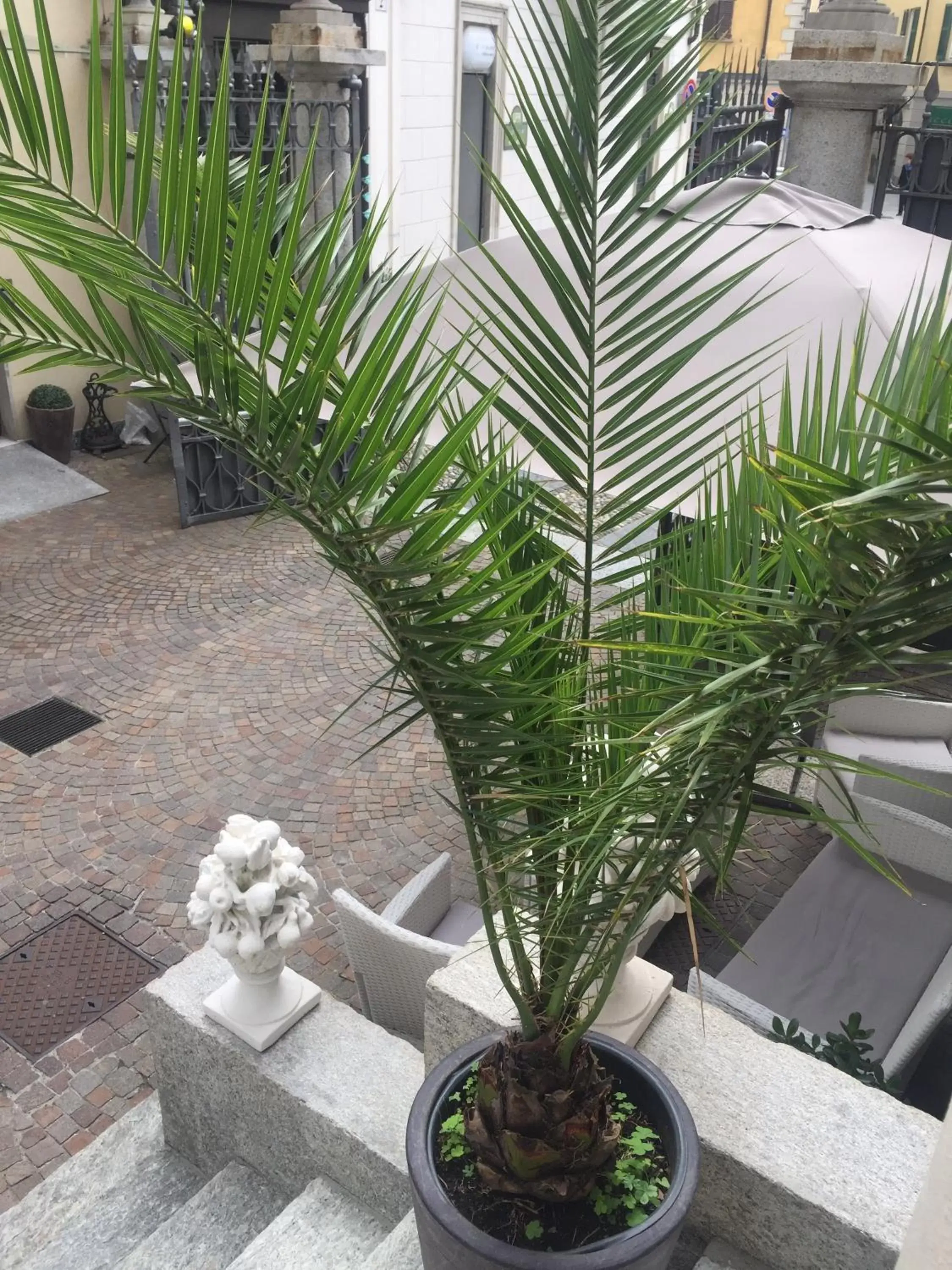 Facade/entrance, Patio/Outdoor Area in Hotel Europa Varese