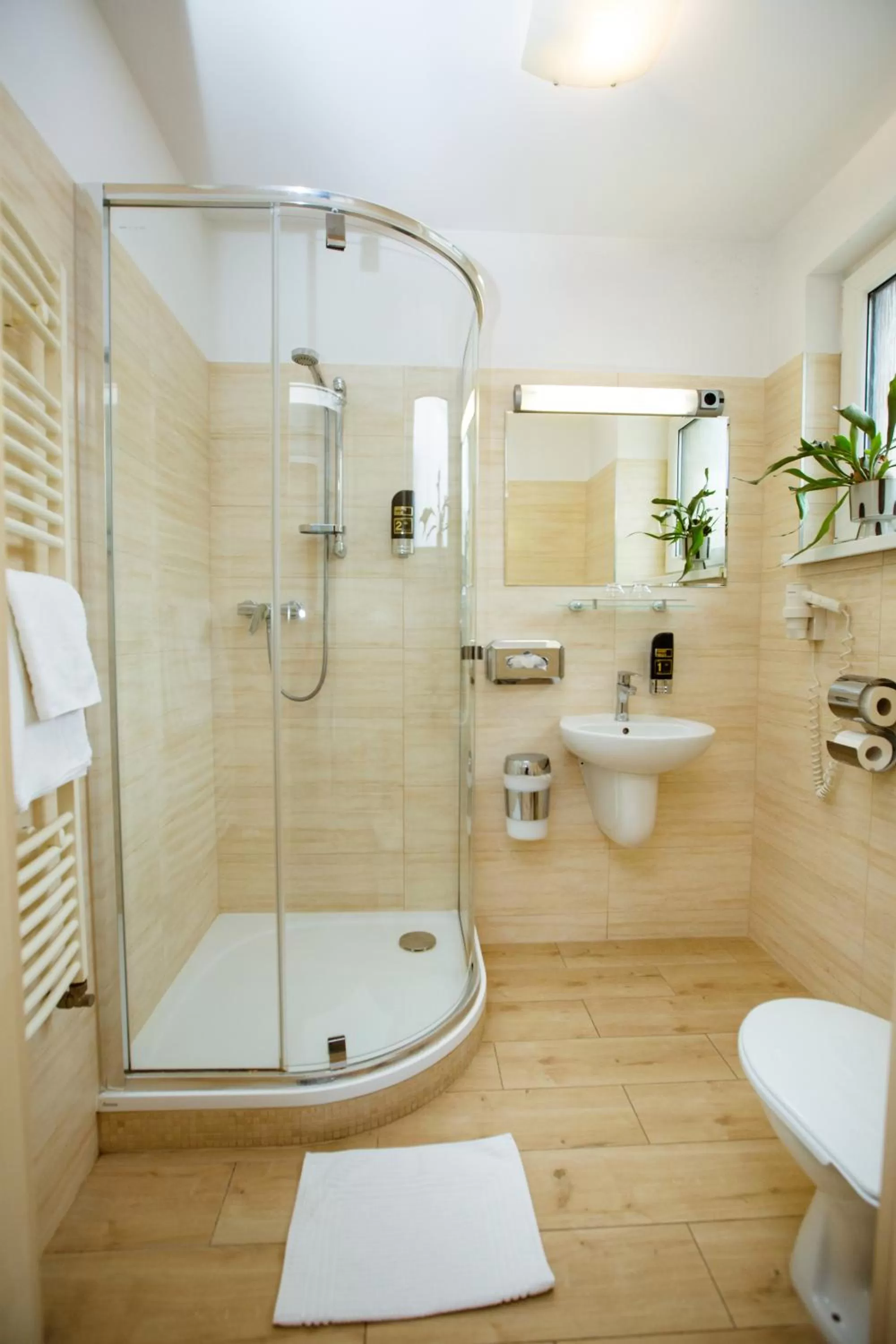 Bathroom in Hotel Litovel