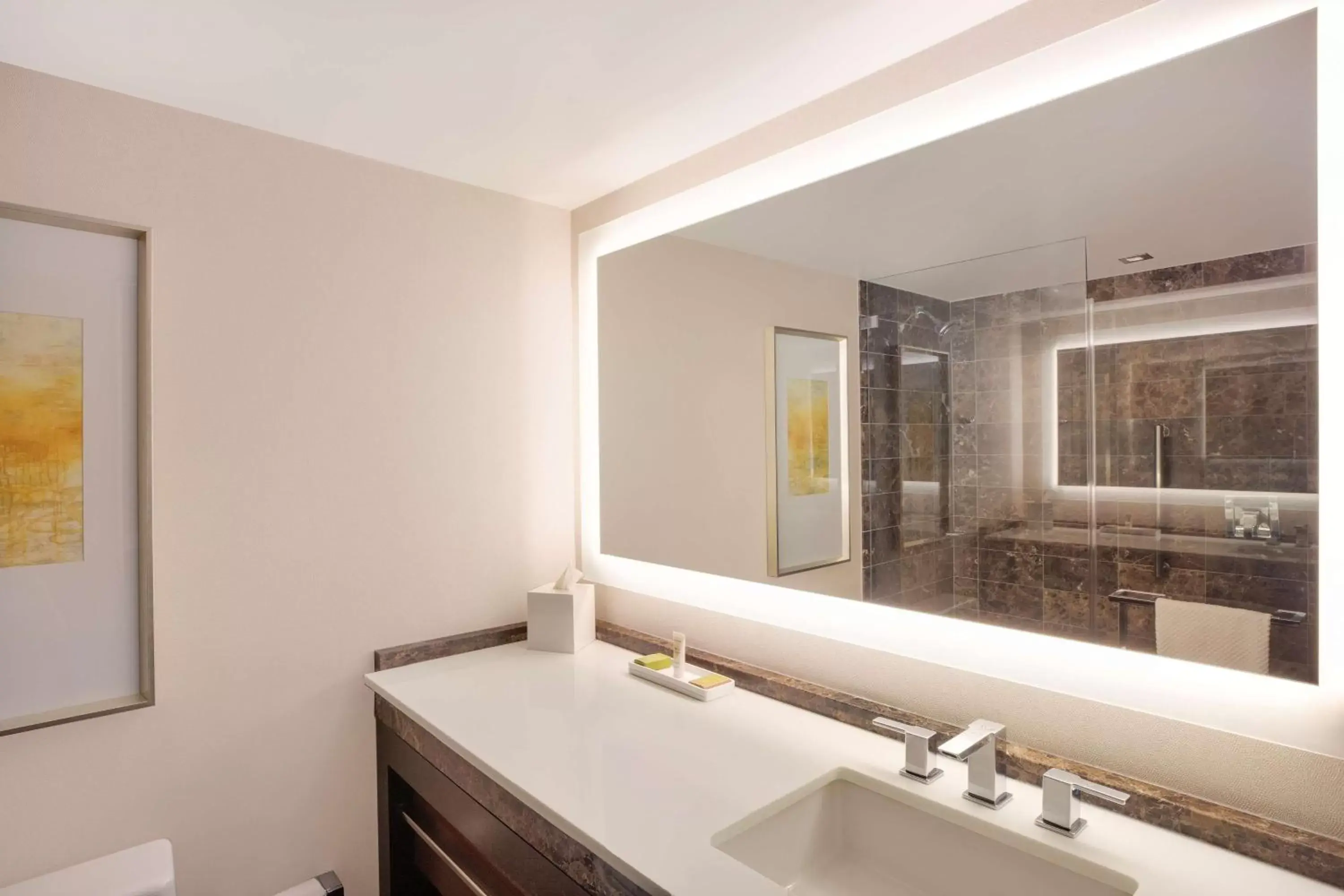 Double Room with Two Double Beds - Mobility Accessible with Roll in Shower in Hilton McLean Tysons Corner Double Room with Two Double Beds - Mobility Accessible with Roll in Shower in Hilton McLean Tysons Corner