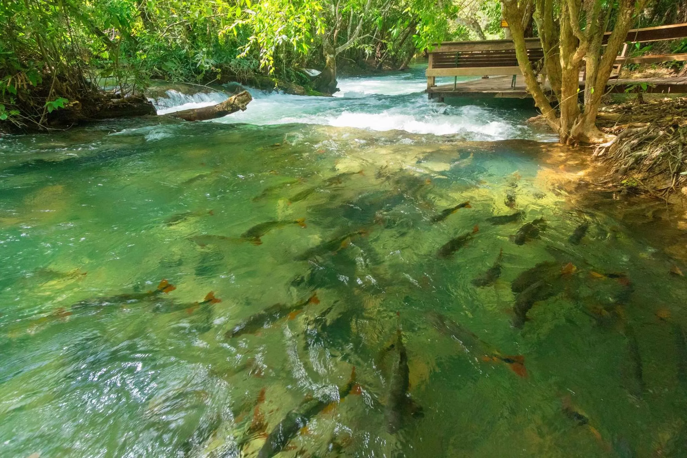 Natural landscape in Hotel Santa Esmeralda