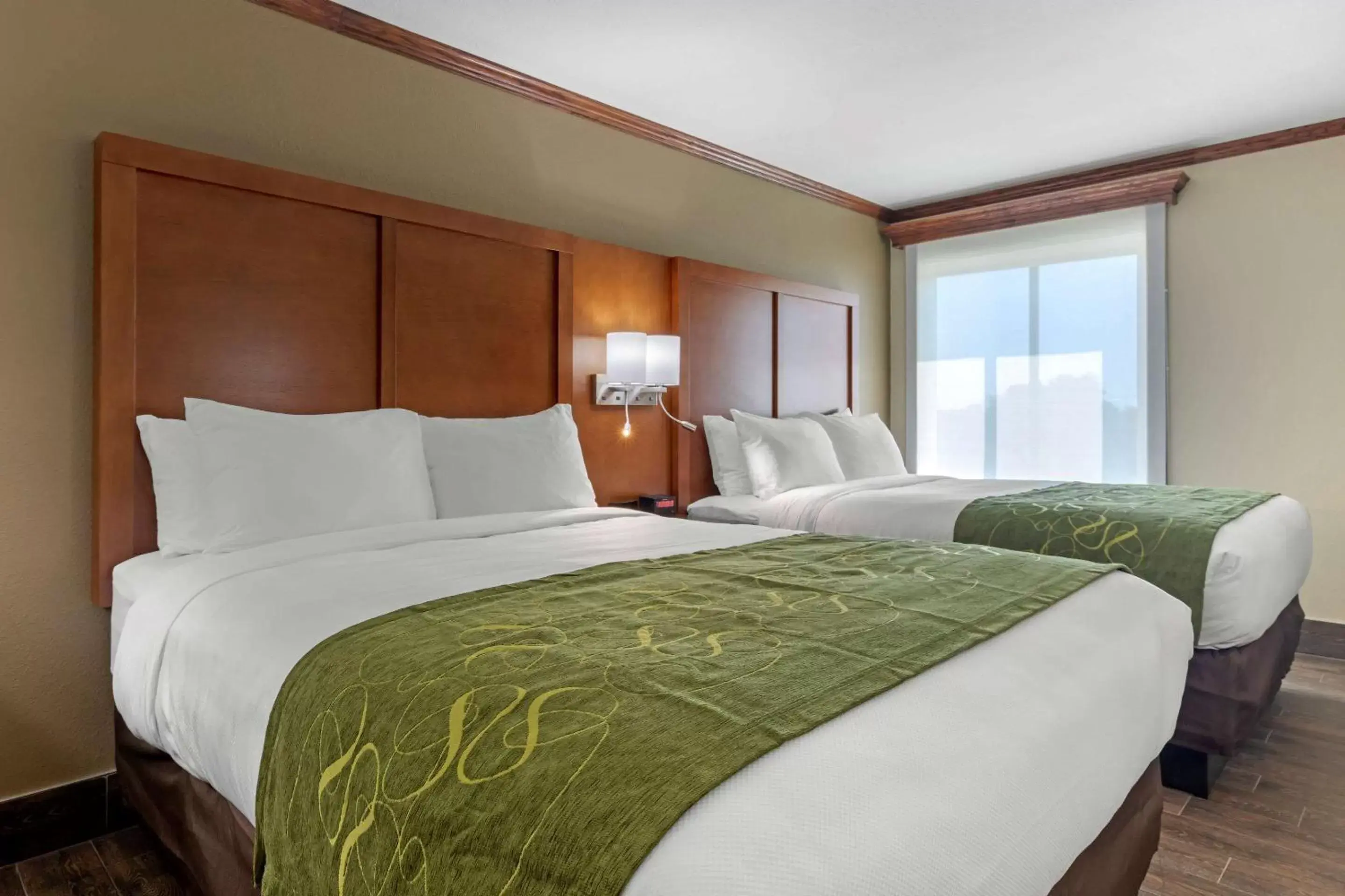 Queen Suite with Two Queen Beds and Sofabed - Non Smoking in Comfort Suites West Monroe near Ike Hamilton Expo Center Queen Suite with Two Queen Beds and Sofabed - Non Smoking in Comfort Suites West Monroe near Ike Hamilton Expo Center