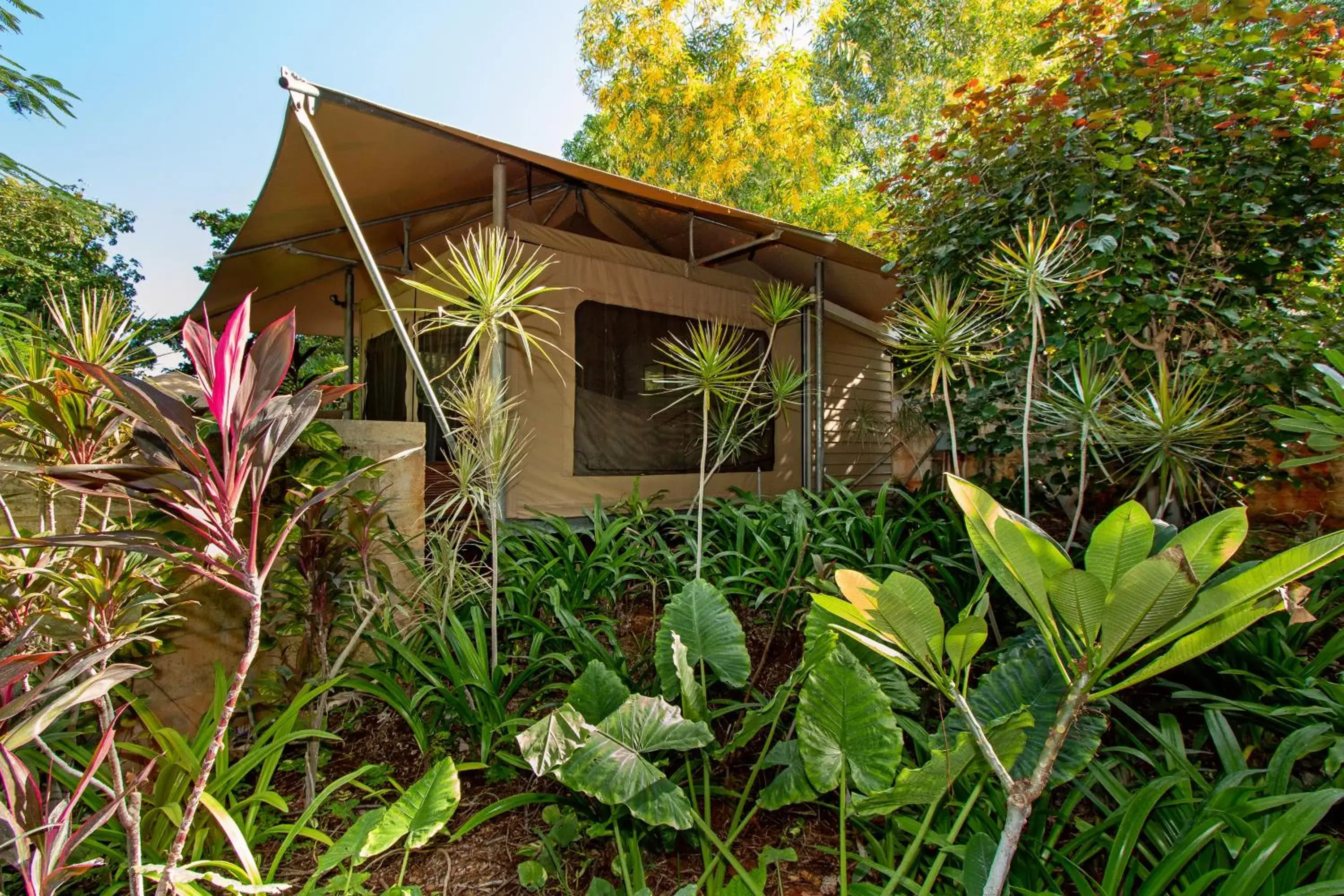 Garden view, Property Building in The Billi Resort