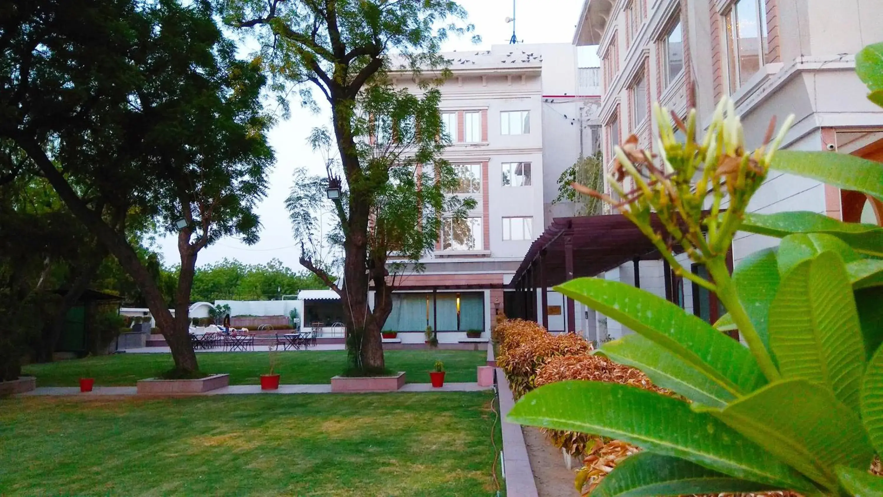 Garden, Property Building in Park Plaza Jodhpur