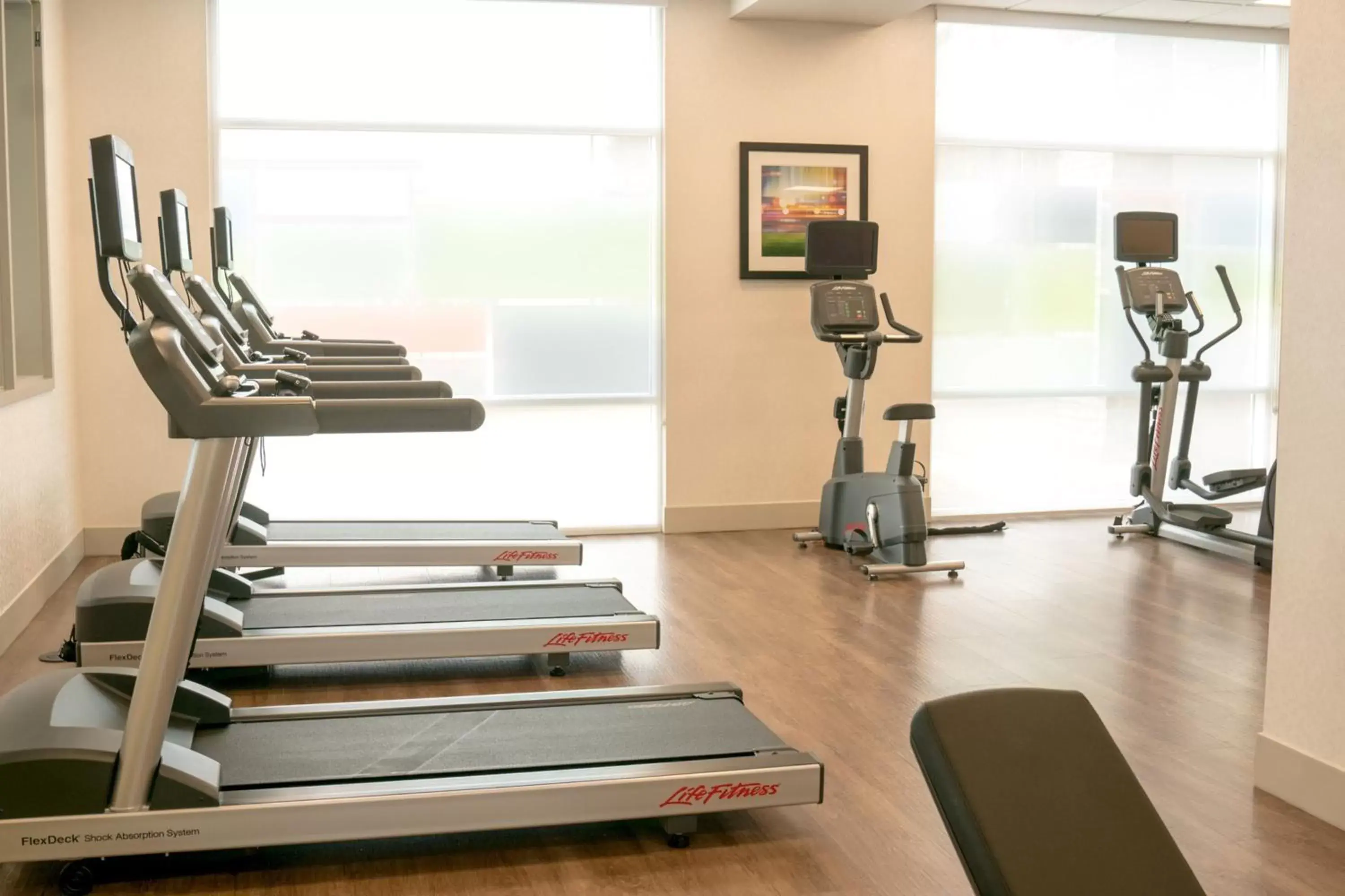 Fitness centre/facilities, Fitness Center/Facilities in Holiday Inn Express & Suites - Brandon, an IHG Hotel