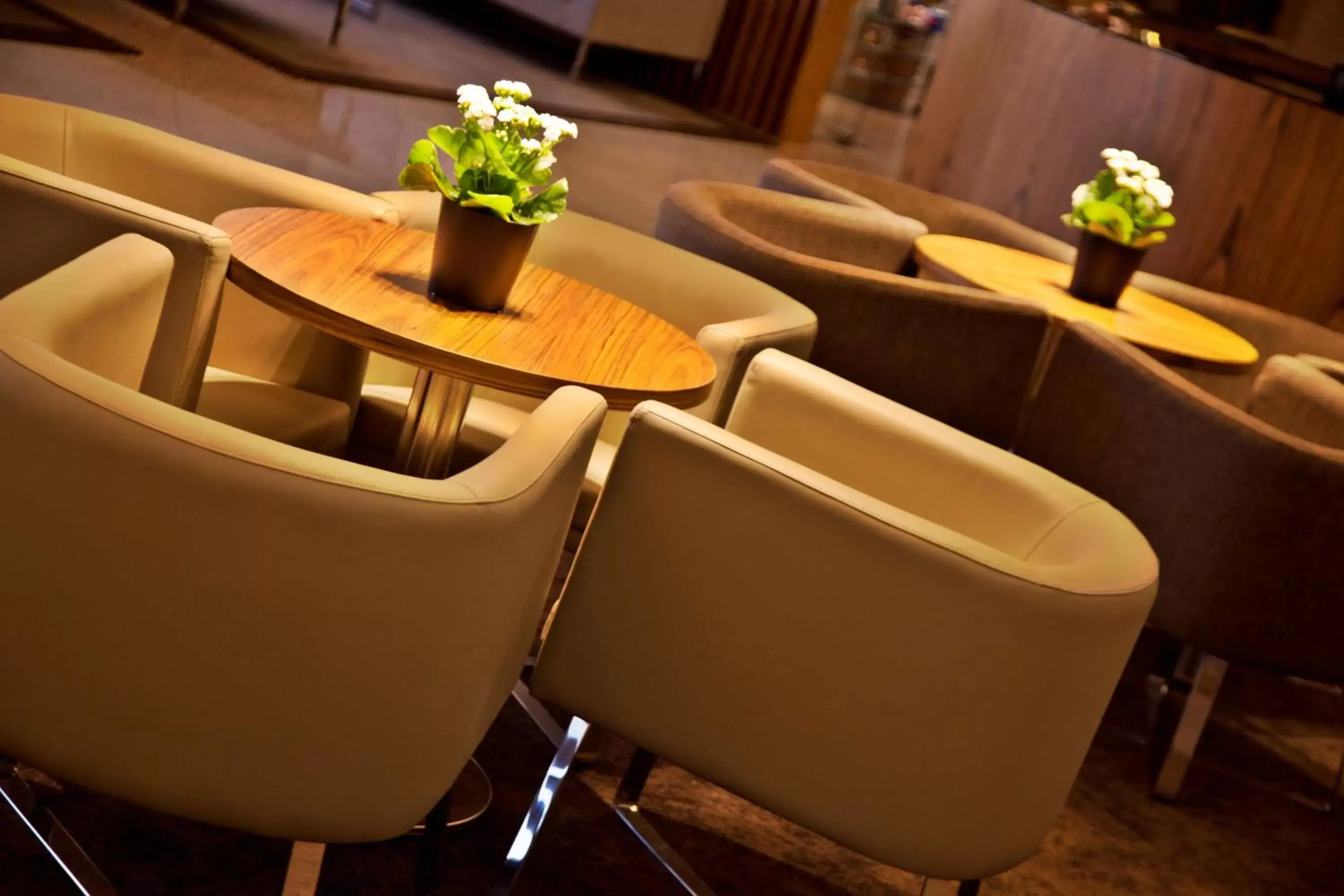 Seating area, Lounge/Bar in Ramada by Wyndham Lisbon