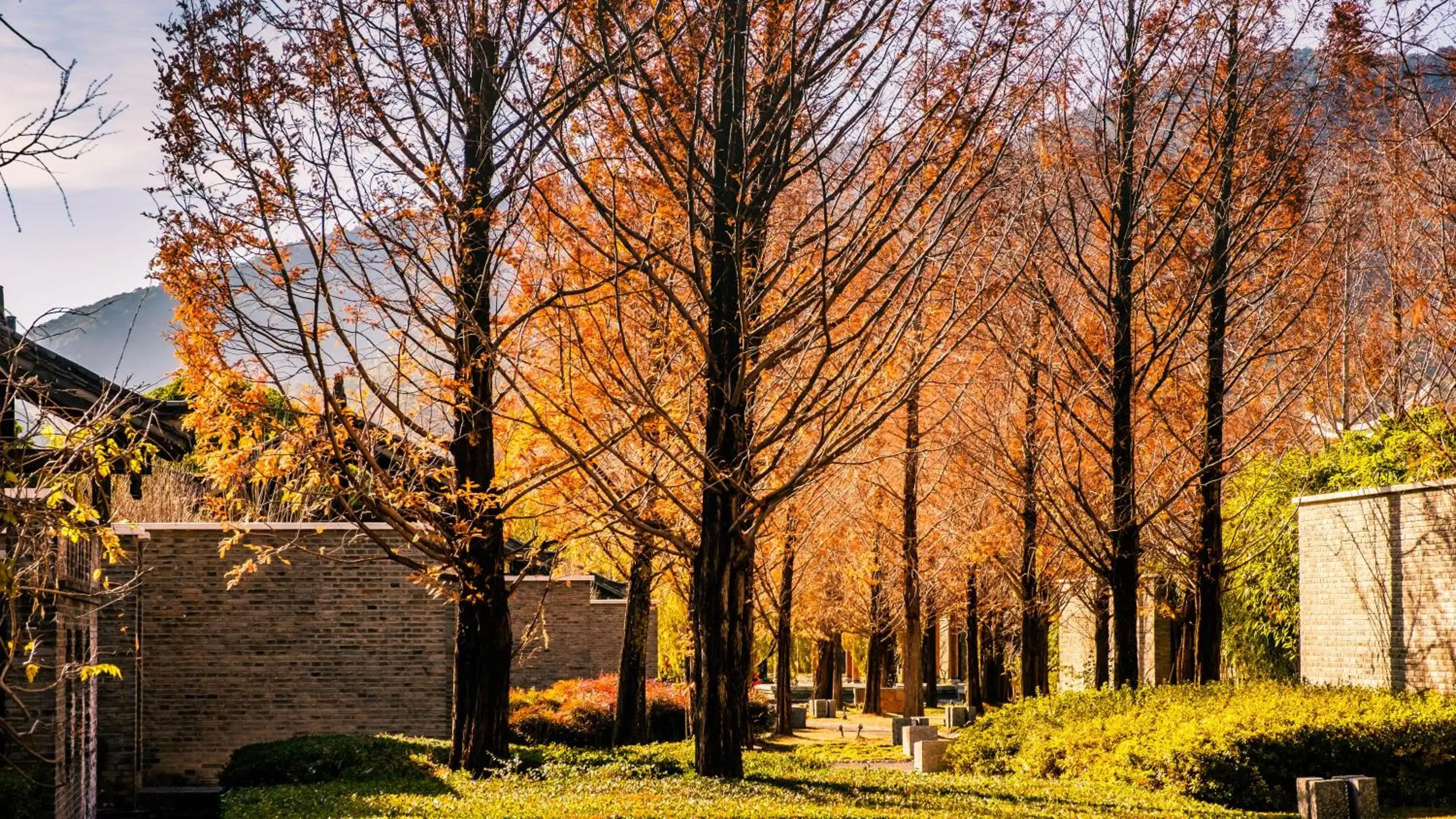 Nearby landmark in Banyan Tree Lijiang