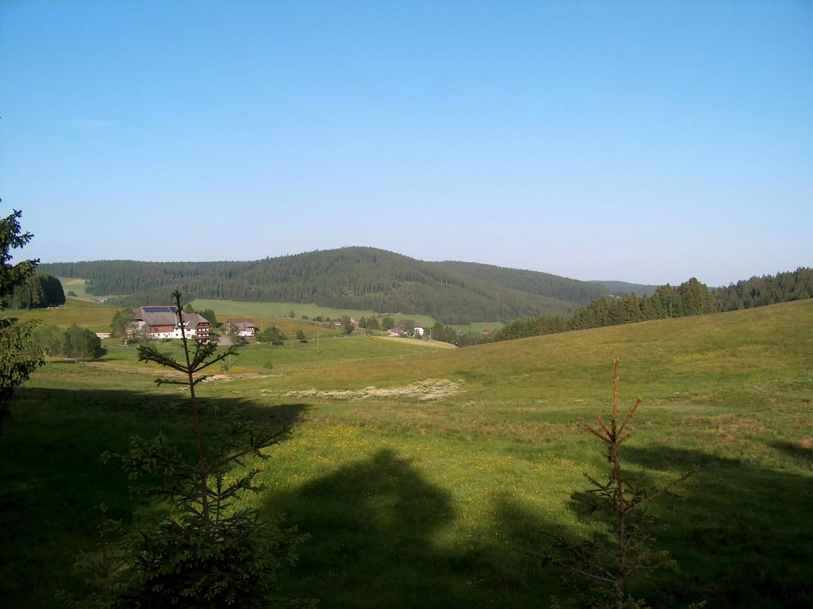 Natural landscape in ZUR TRAUBE Schwarzwaldhotel & Restaurant am Titisee