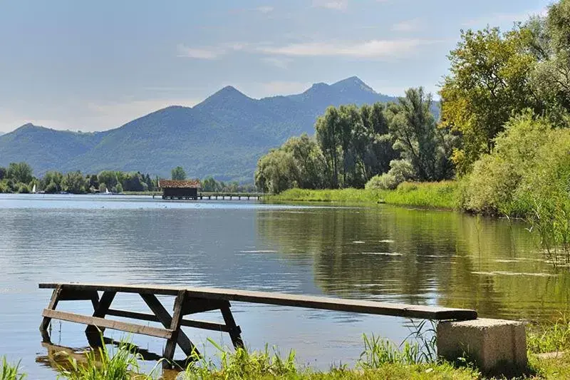 Area and facilities, Mountain View in Zum Fischer am See ***S