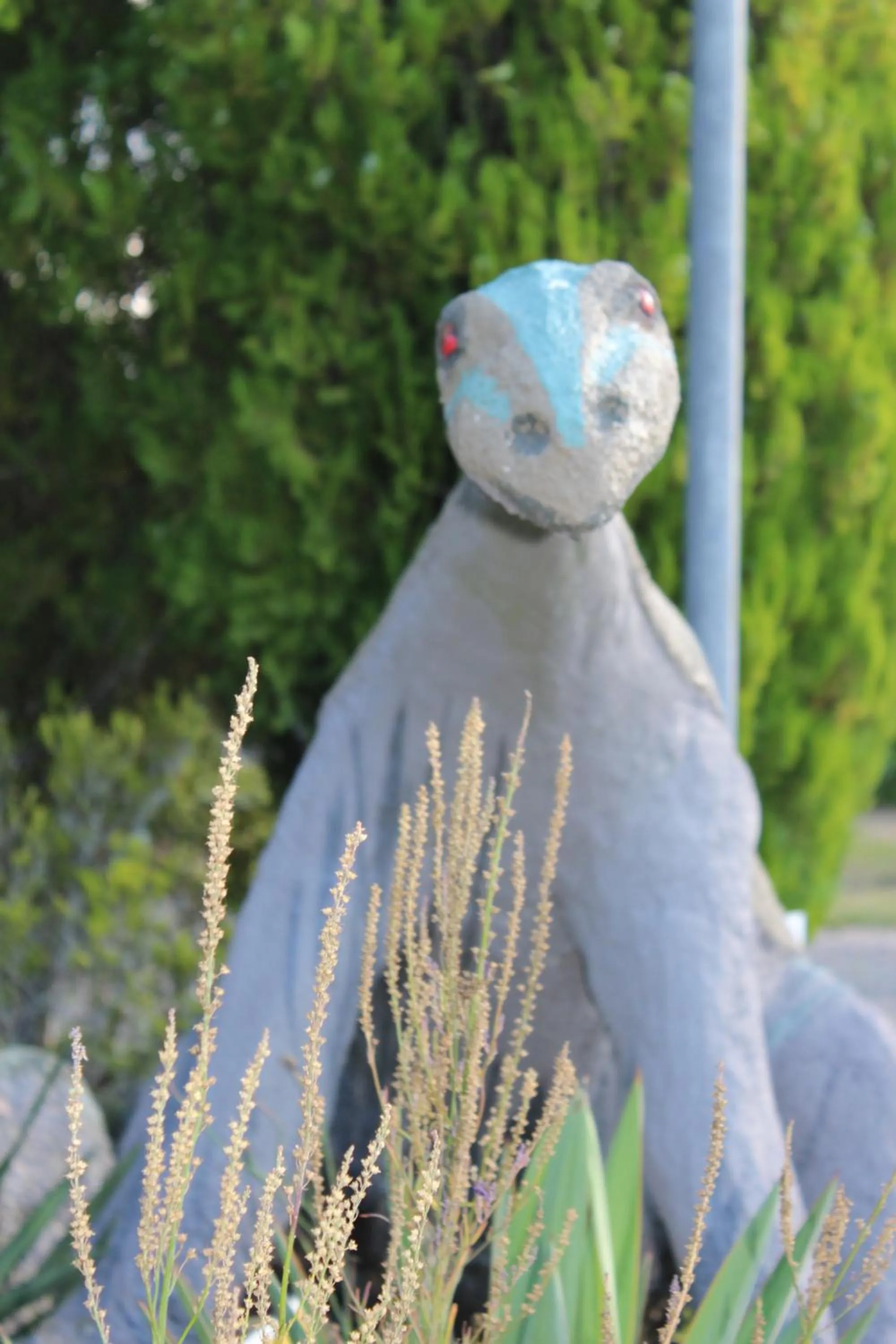 Natural landscape in All Seasons Holiday Park