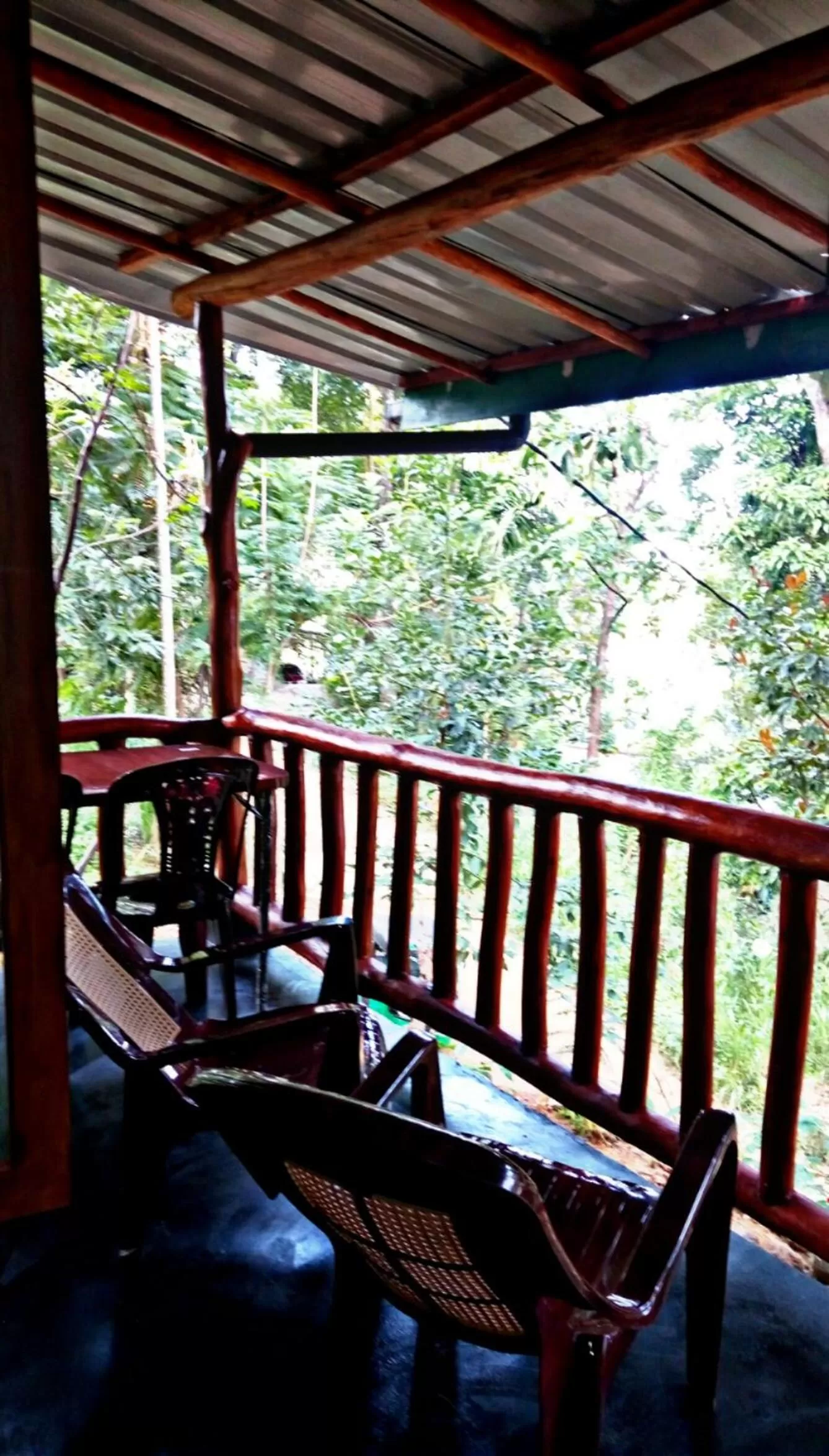 Garden view, Balcony/Terrace in Cozy Home Stay