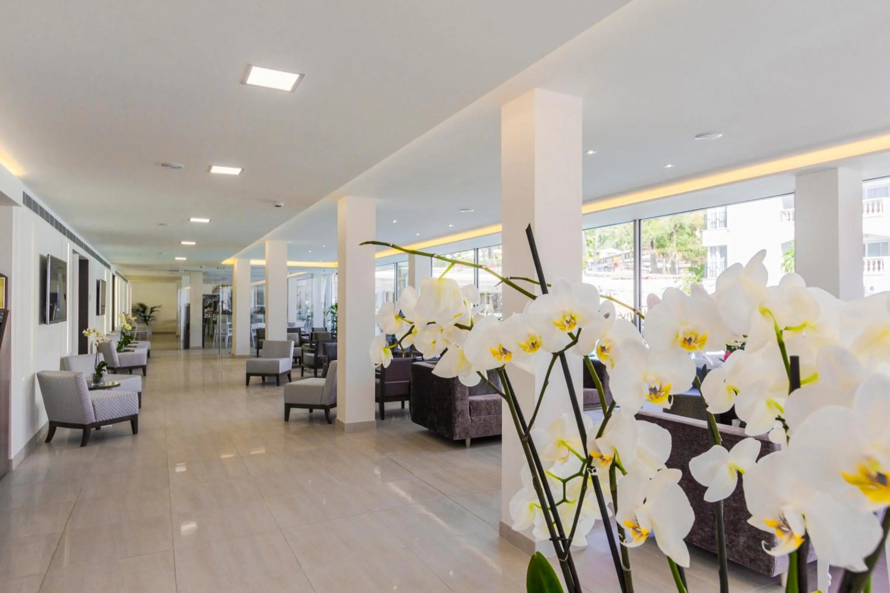 Lobby or reception in Hotel La Pergola Mallorca