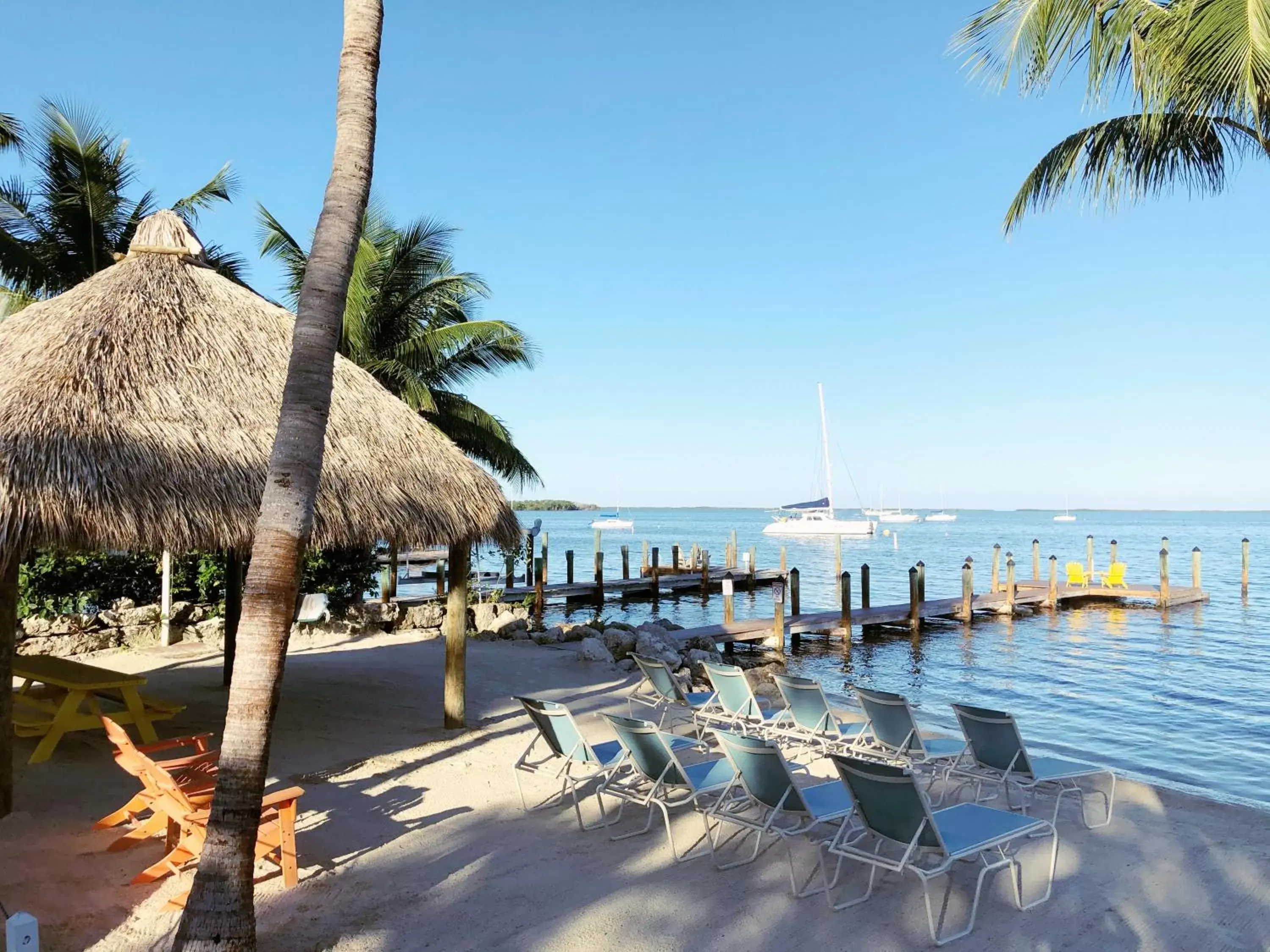 Beach, Swimming Pool in The Pelican Key Largo Cottages