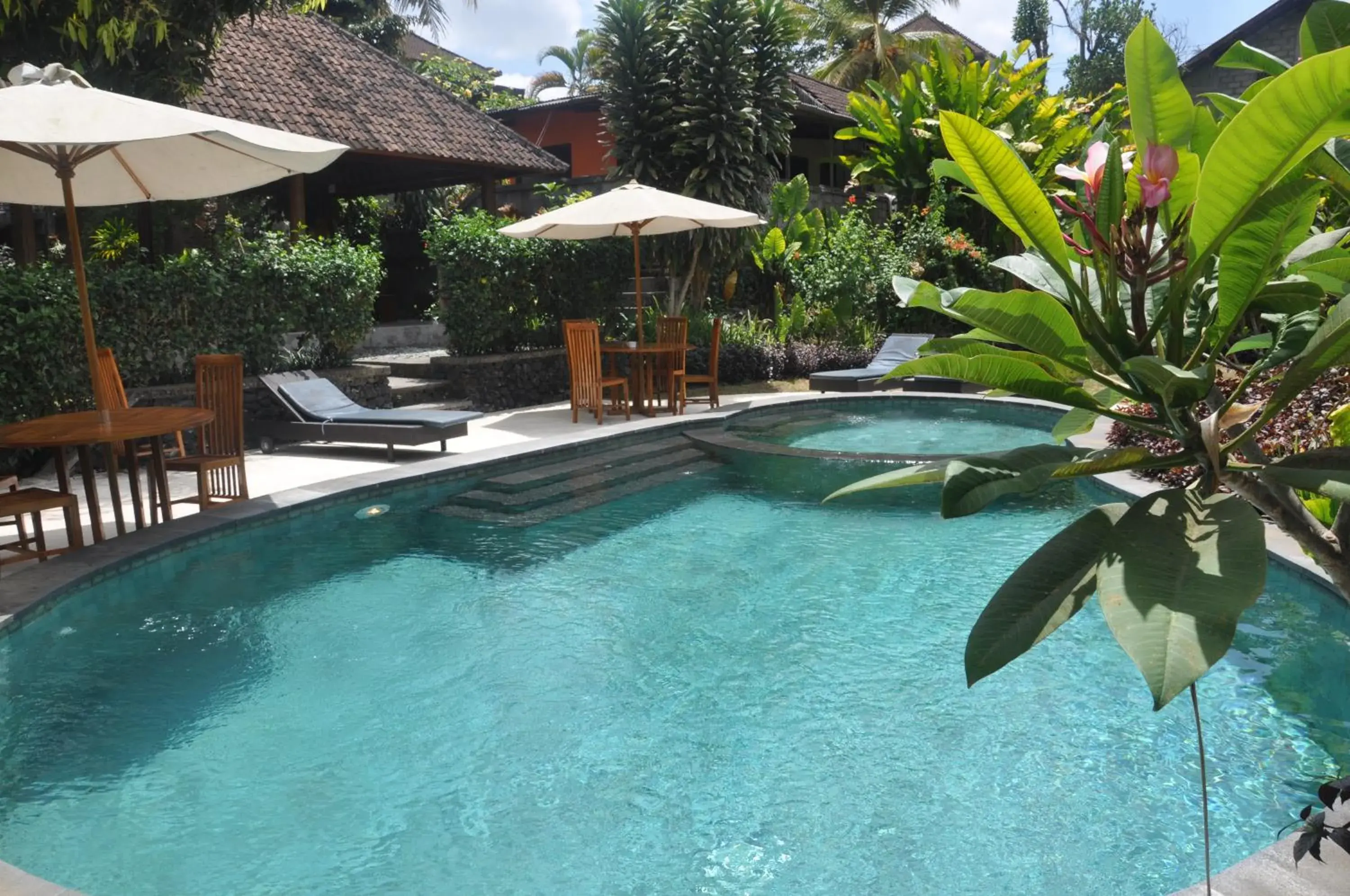 Swimming Pool in Argasoka Bungalows