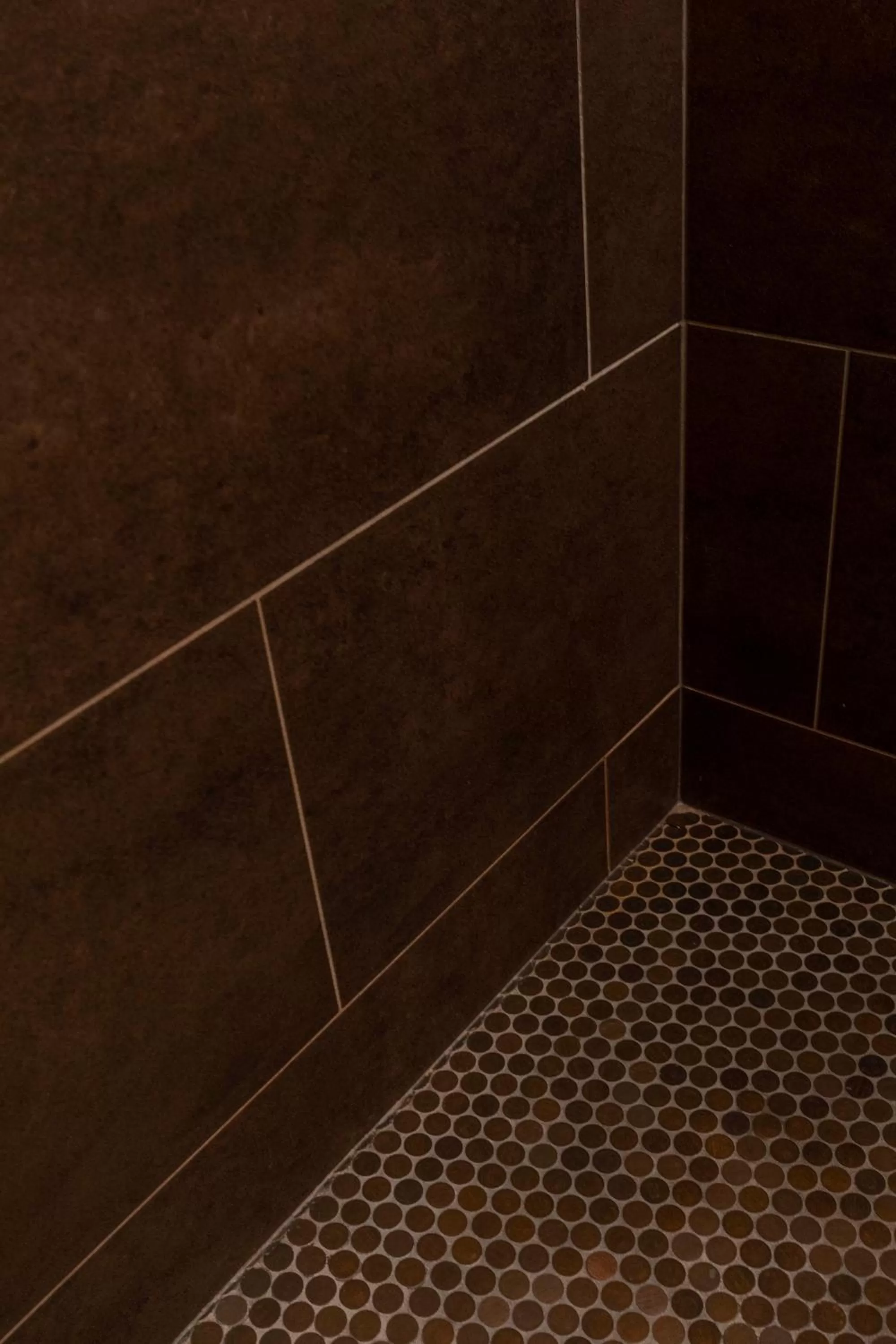 Shower in Hotel Broad Ripple