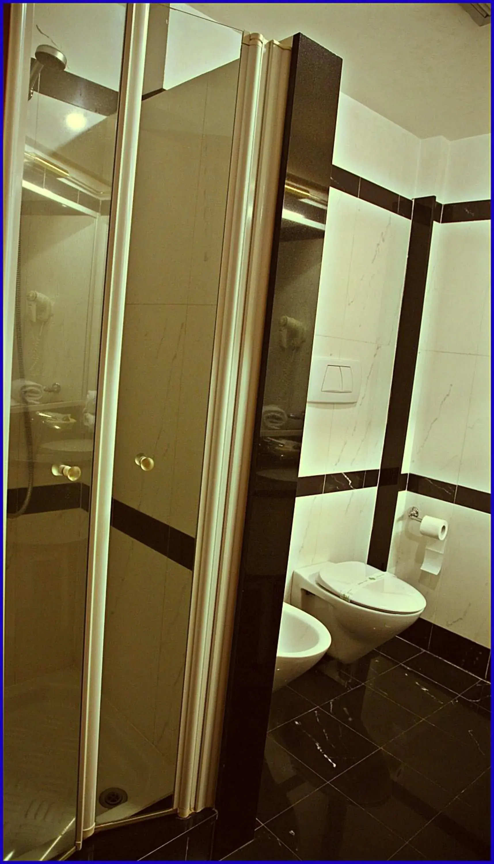 Toilet, Bathroom in Hotel Meeting