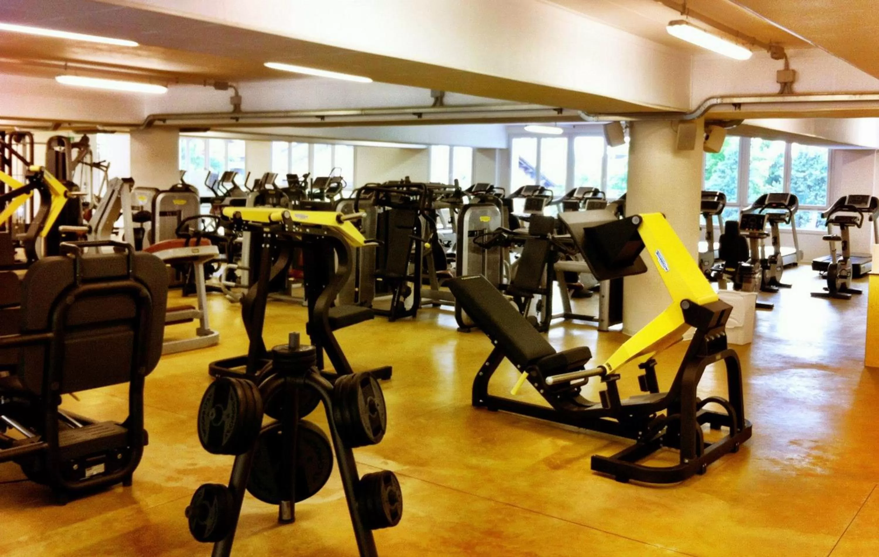 Fitness centre/facilities in Villa Myosotis