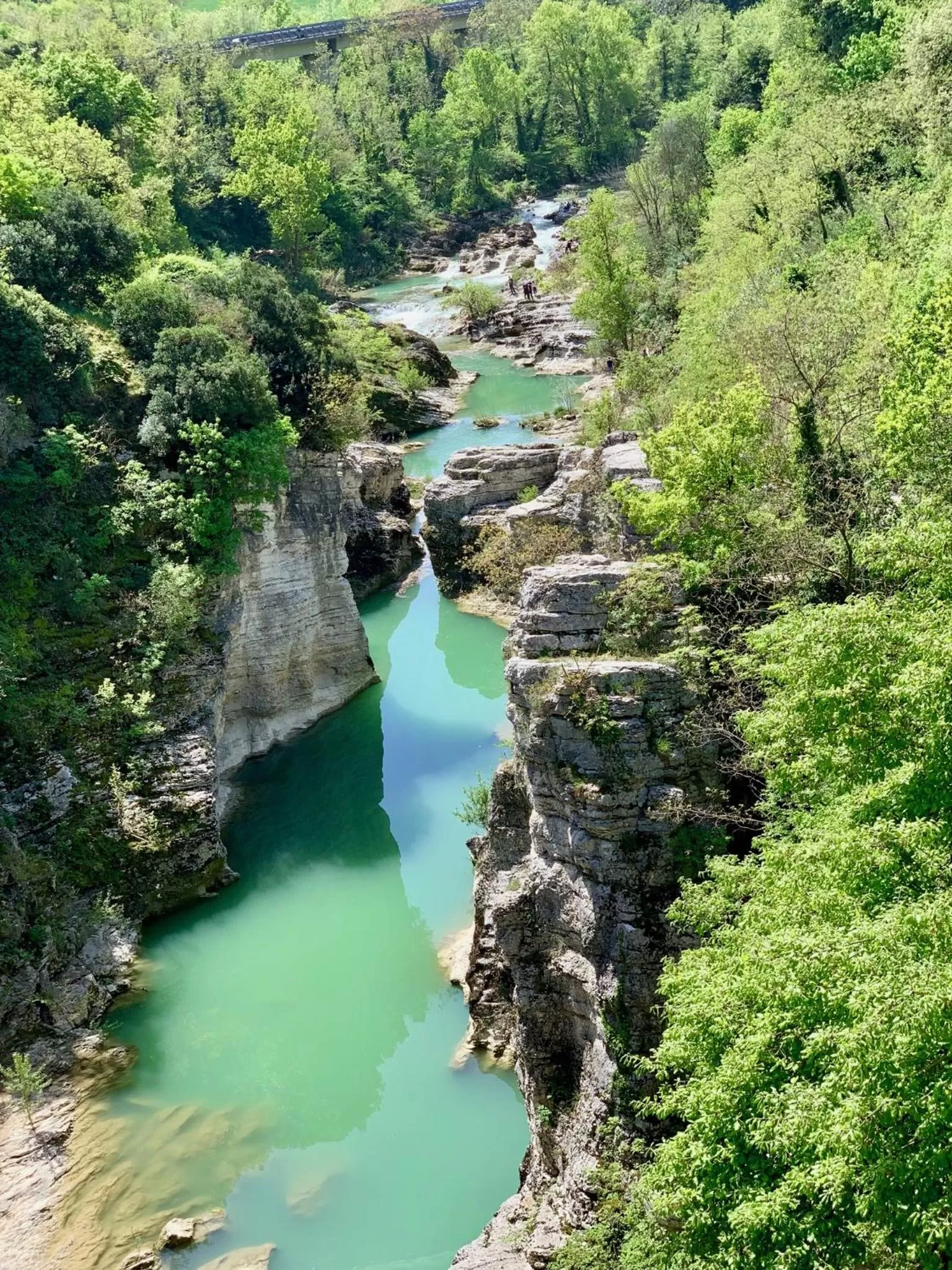 Fishing in La Forestale Luxury Ecolodge B&B Primo Piano