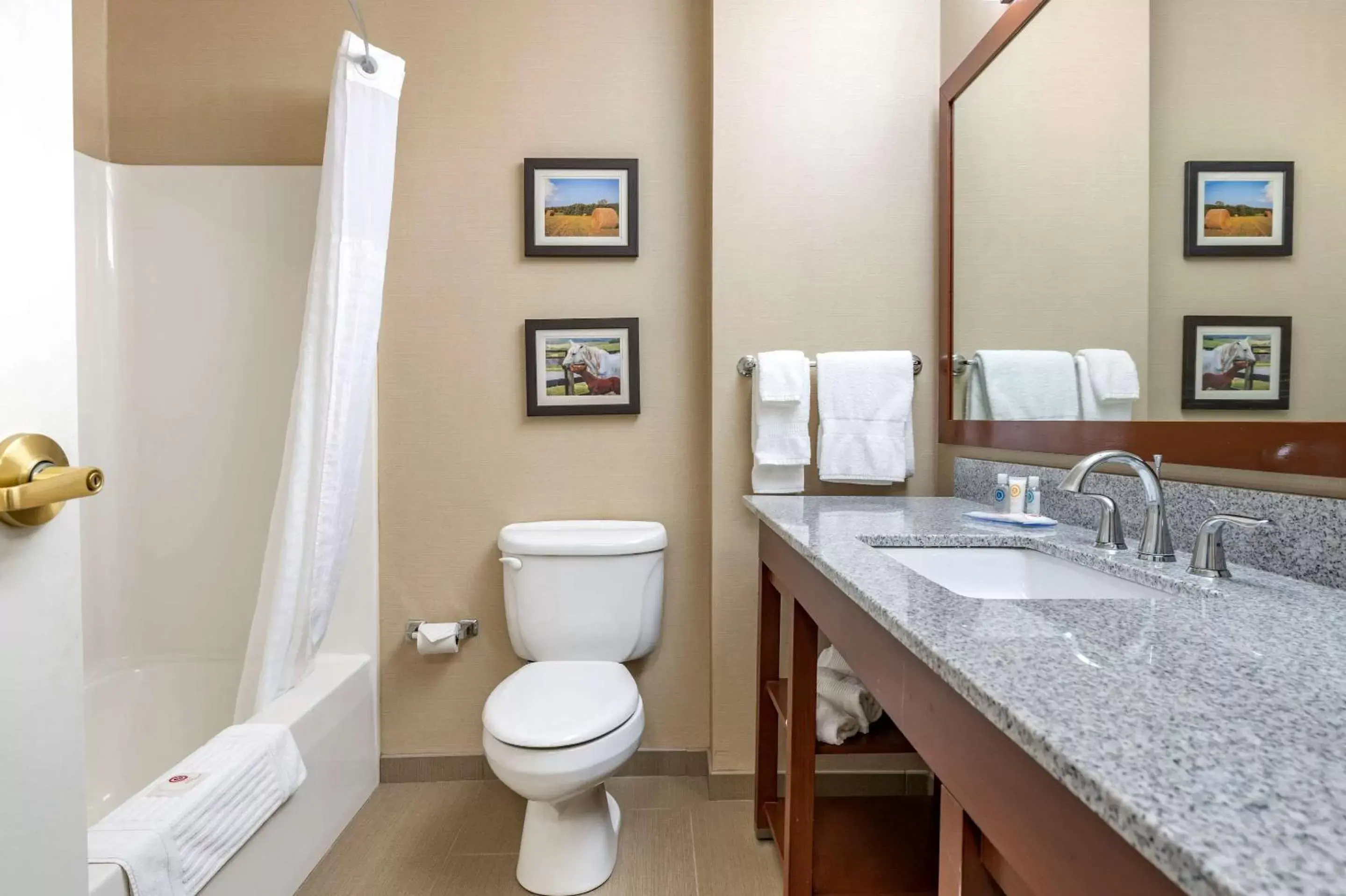 Bathroom in Comfort Inn & Suites Northern Kentucky