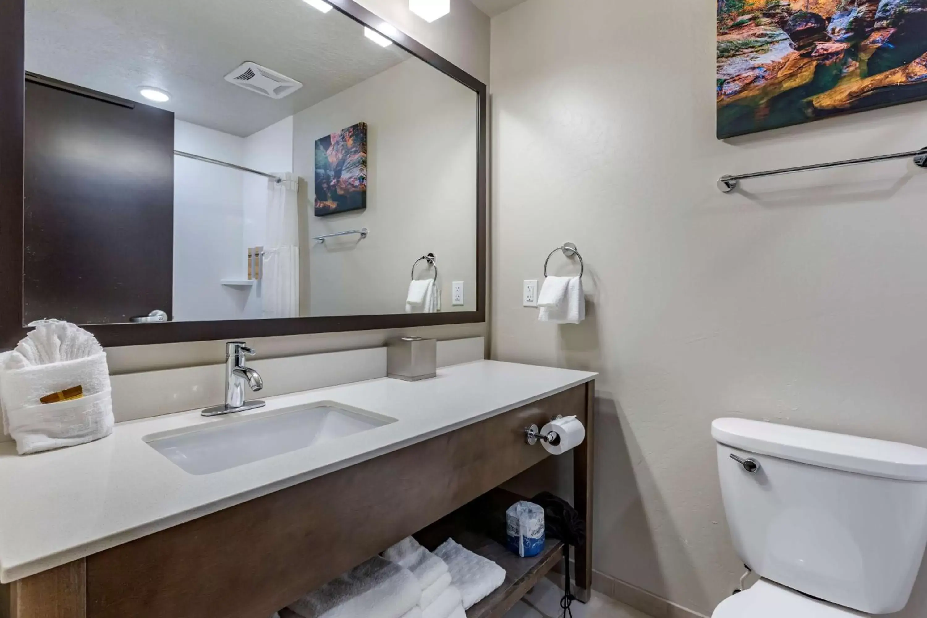 Bathroom in Best Western Plus Zion Canyon Inn & Suites