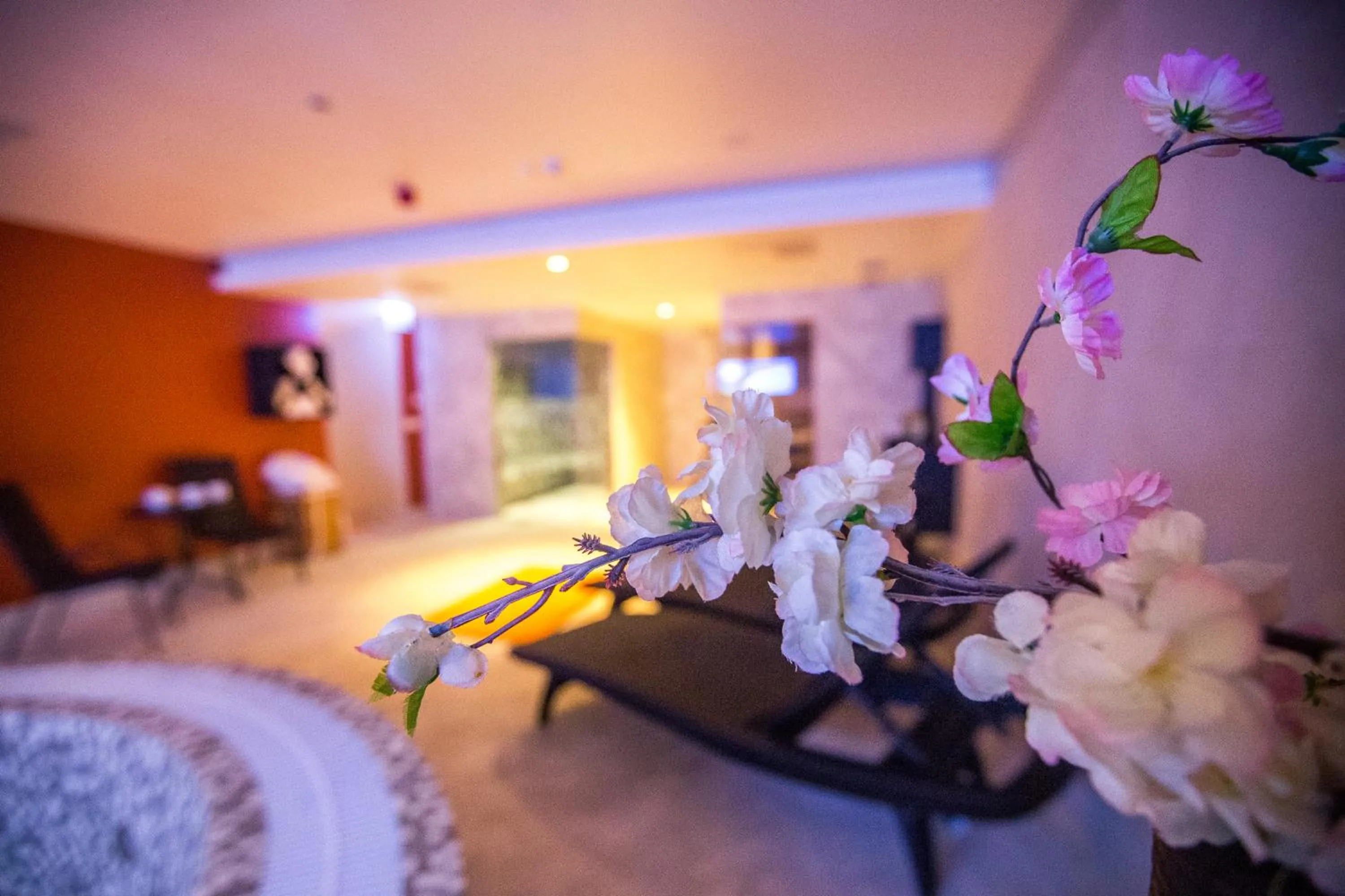 Spa and wellness centre/facilities, Bed in Mercure Riga Centre