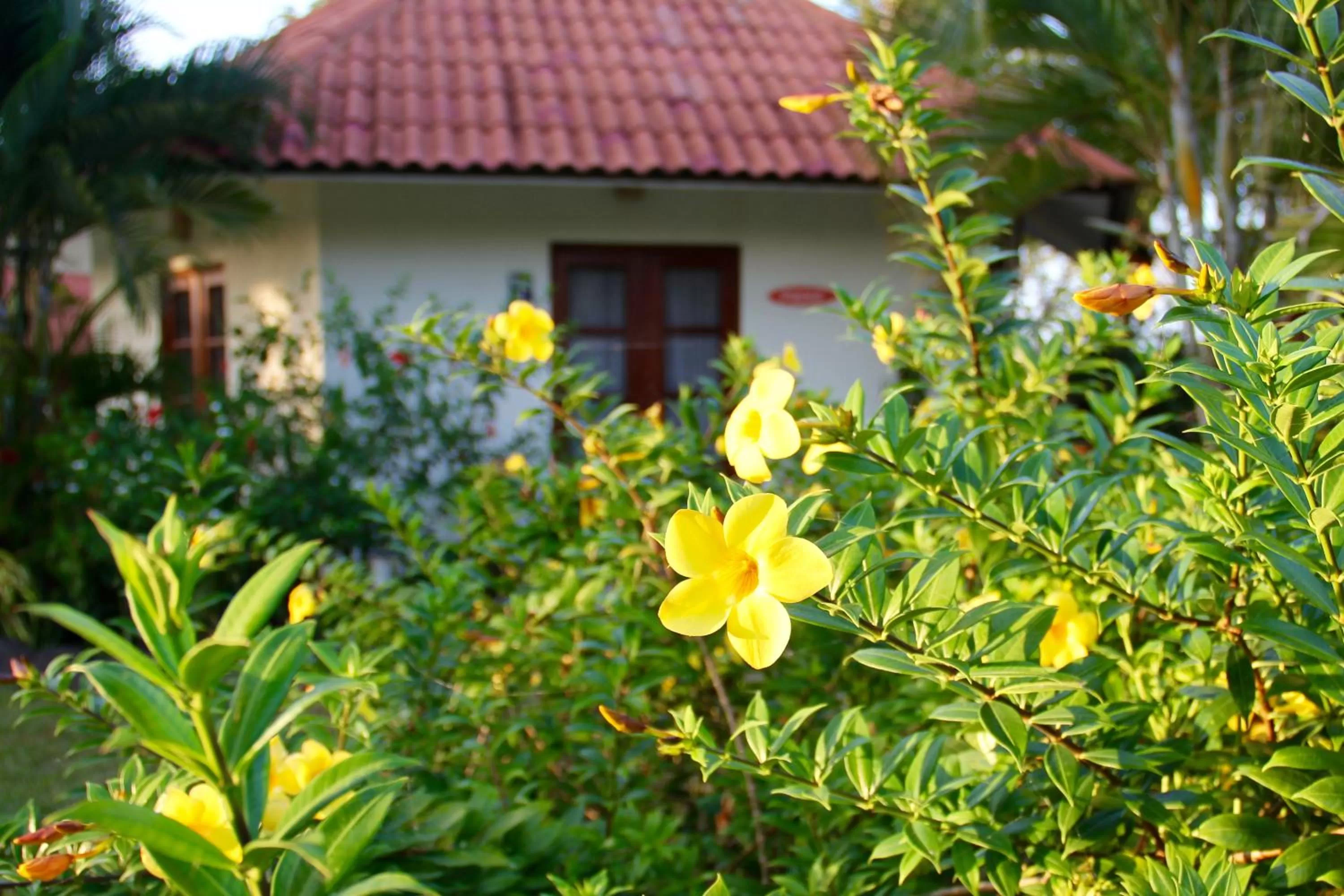 Cabañas La Casa de Pucha