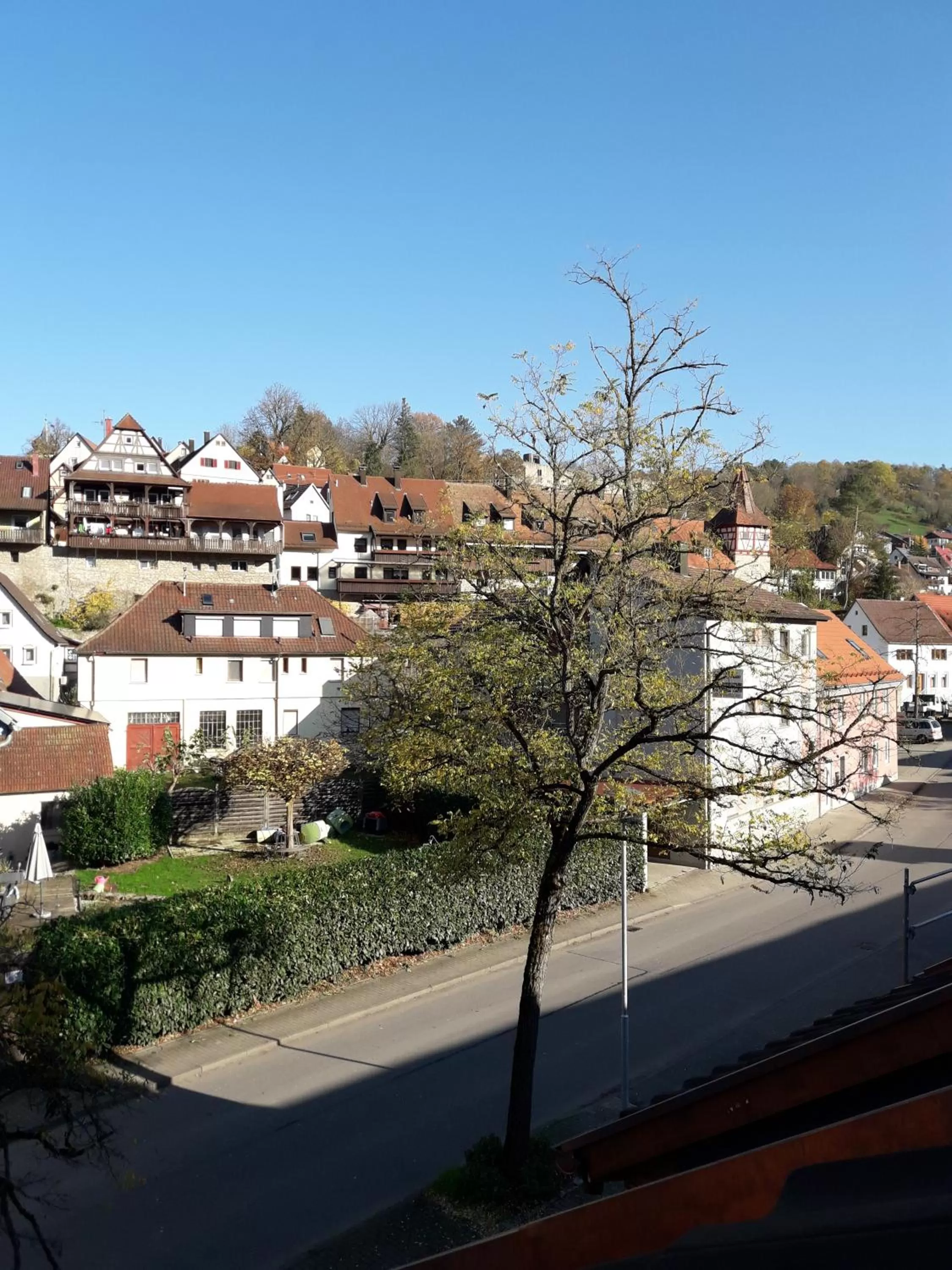 View (from property/room) in Kelterhotel Fröscher