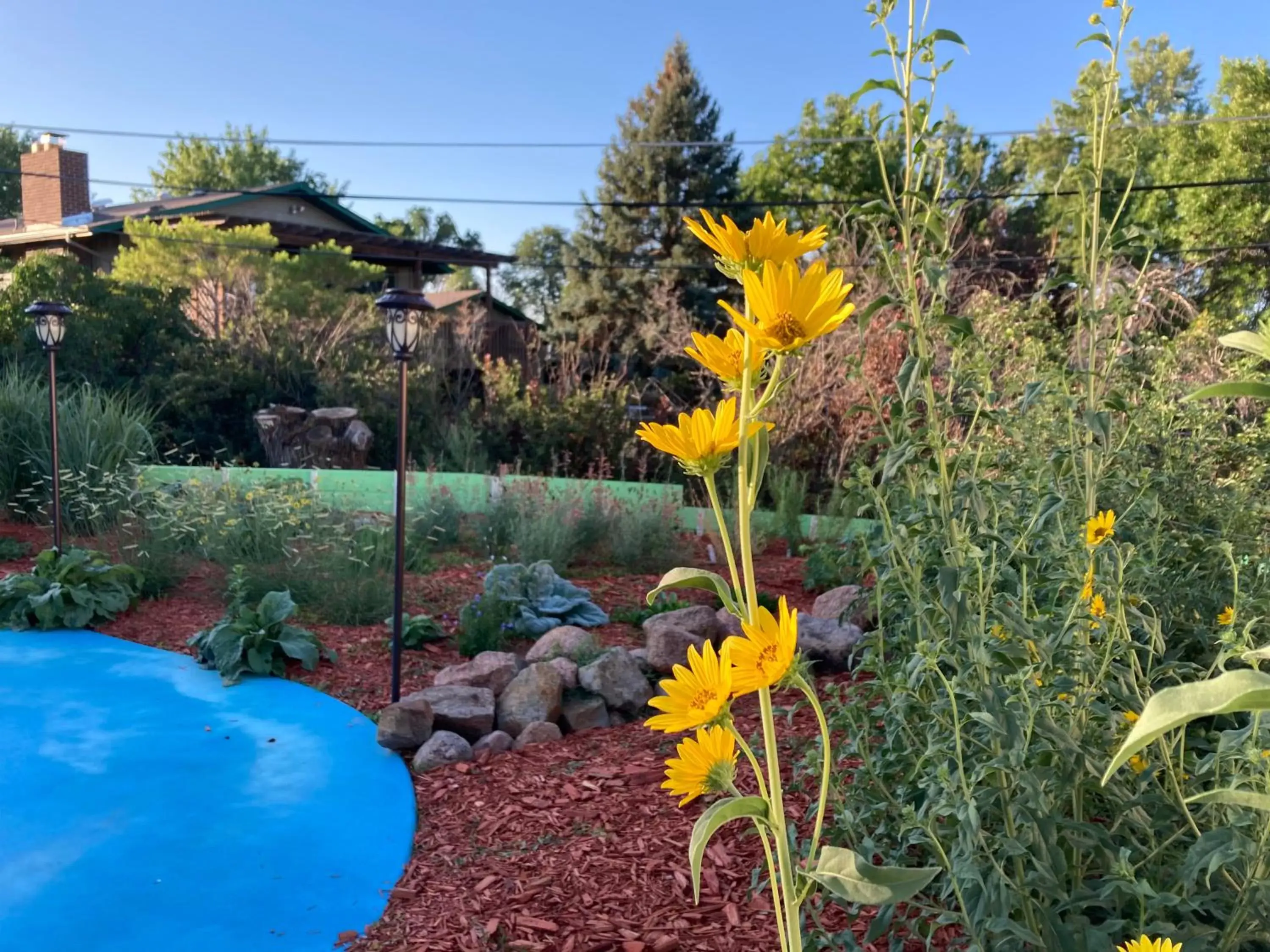 Garden, Pool View in The Oasis on Eisenhower