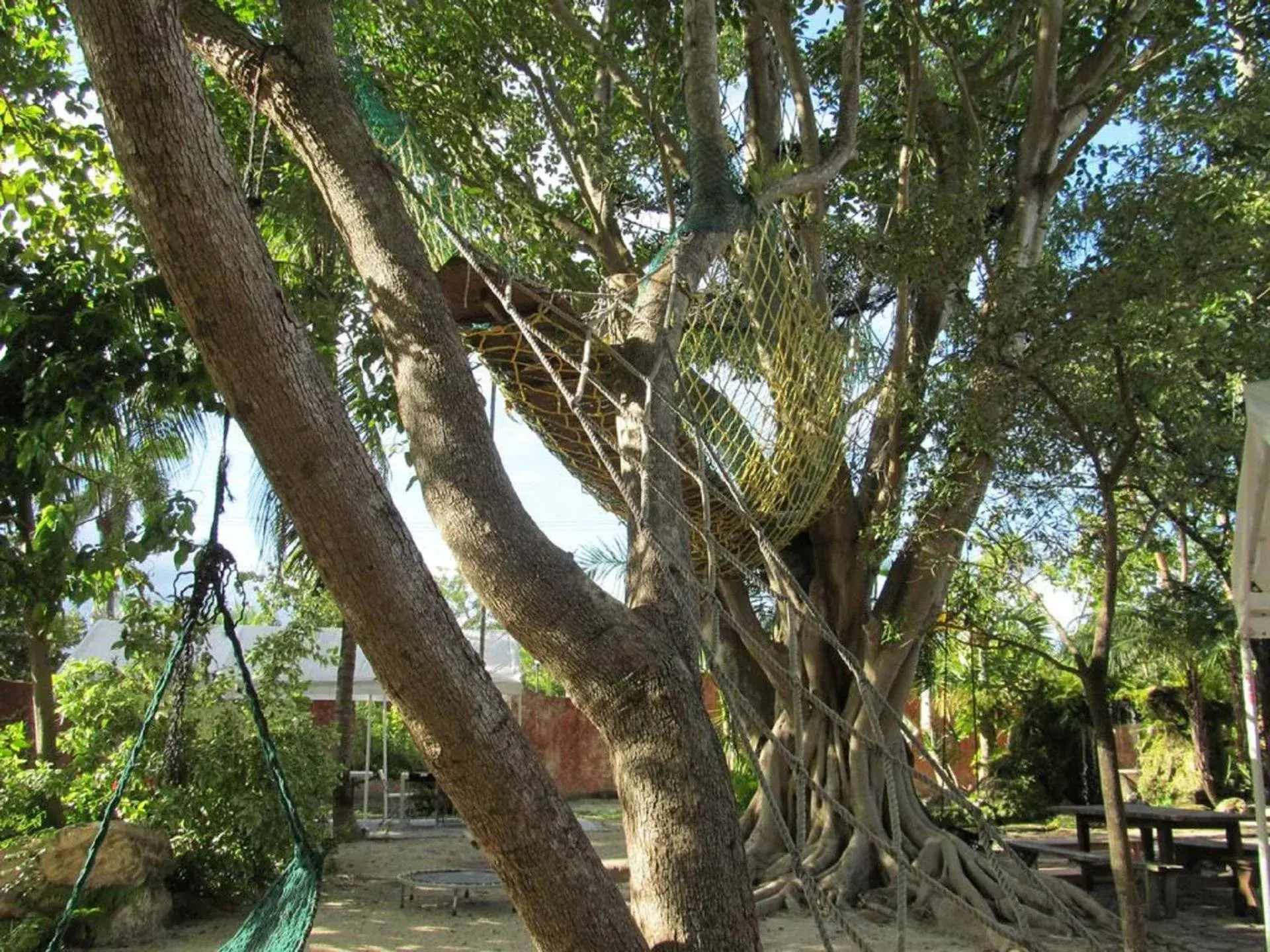 Natural landscape in Hoosville Hostel (Formerly The Everglades Hostel)