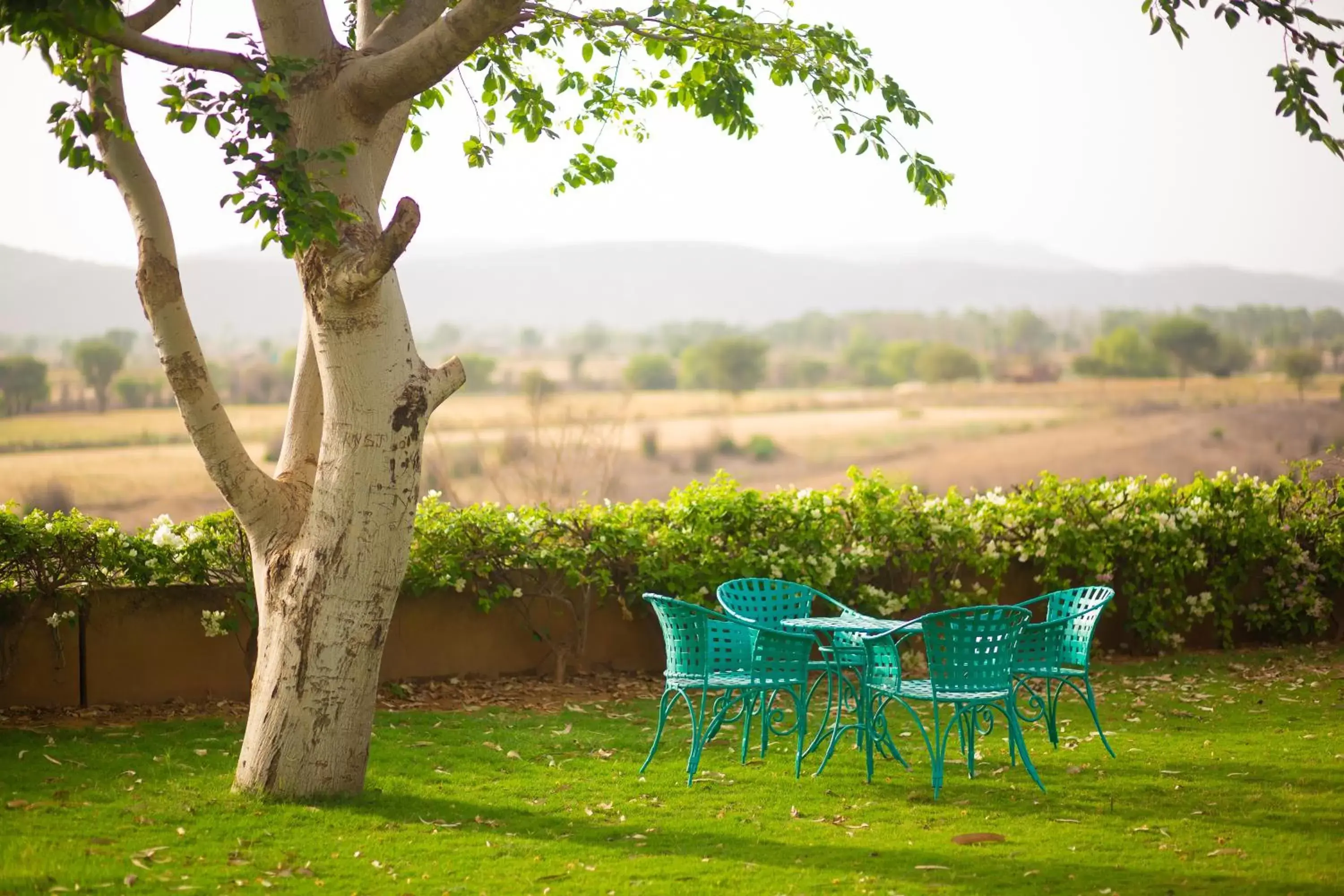 Garden in Ramgarh Lodge, Jaipur – IHCL SeleQtions