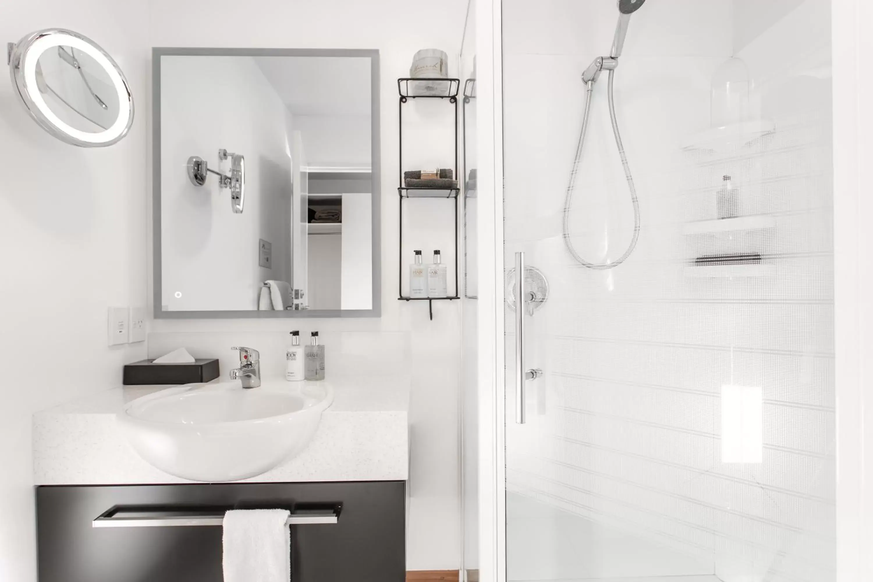 Shower, Bathroom in Palms Motel
