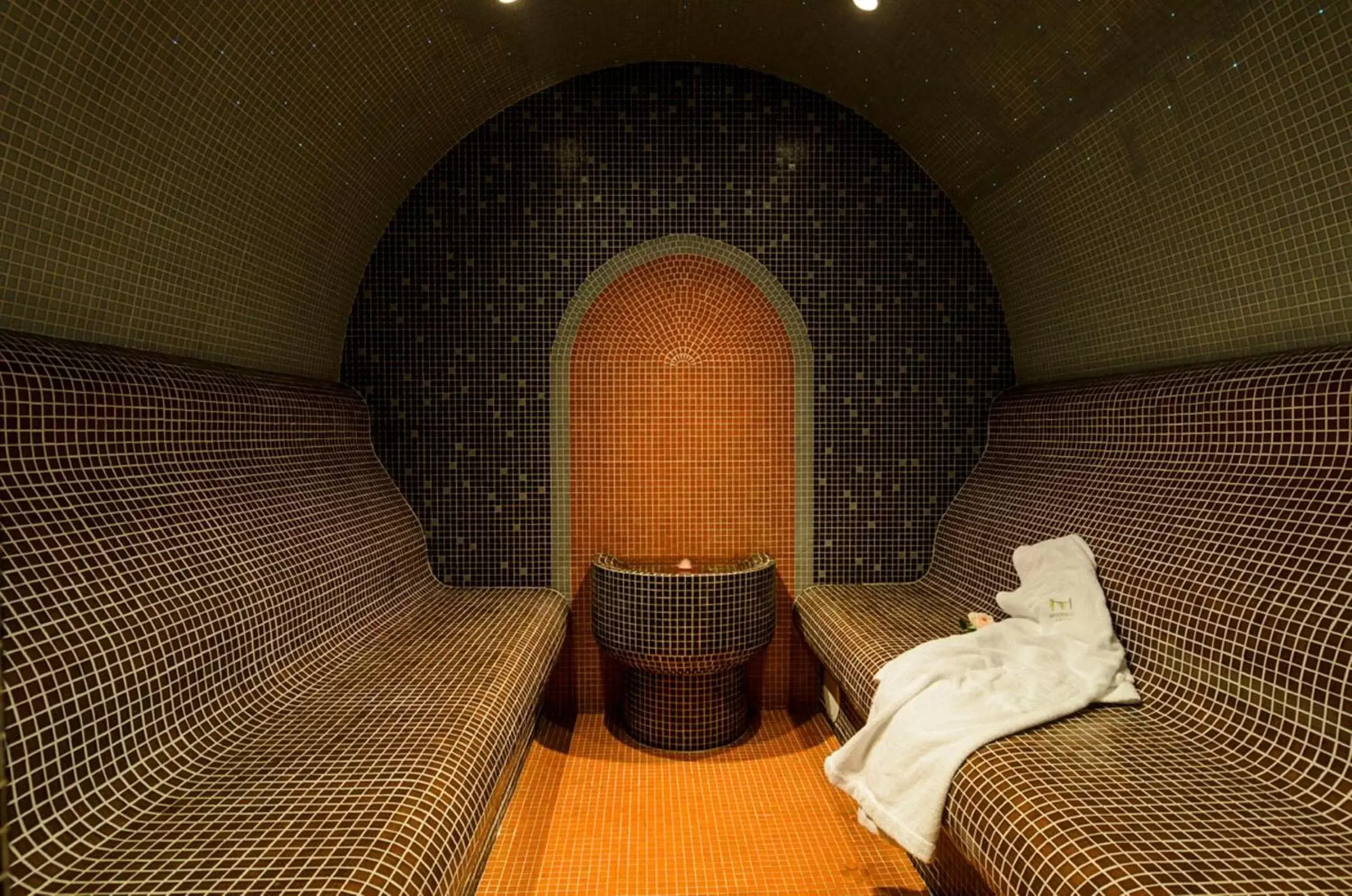 Steam room, Spa/Wellness in Metropolitan Hotel Sofia, a member of Radisson Individuals