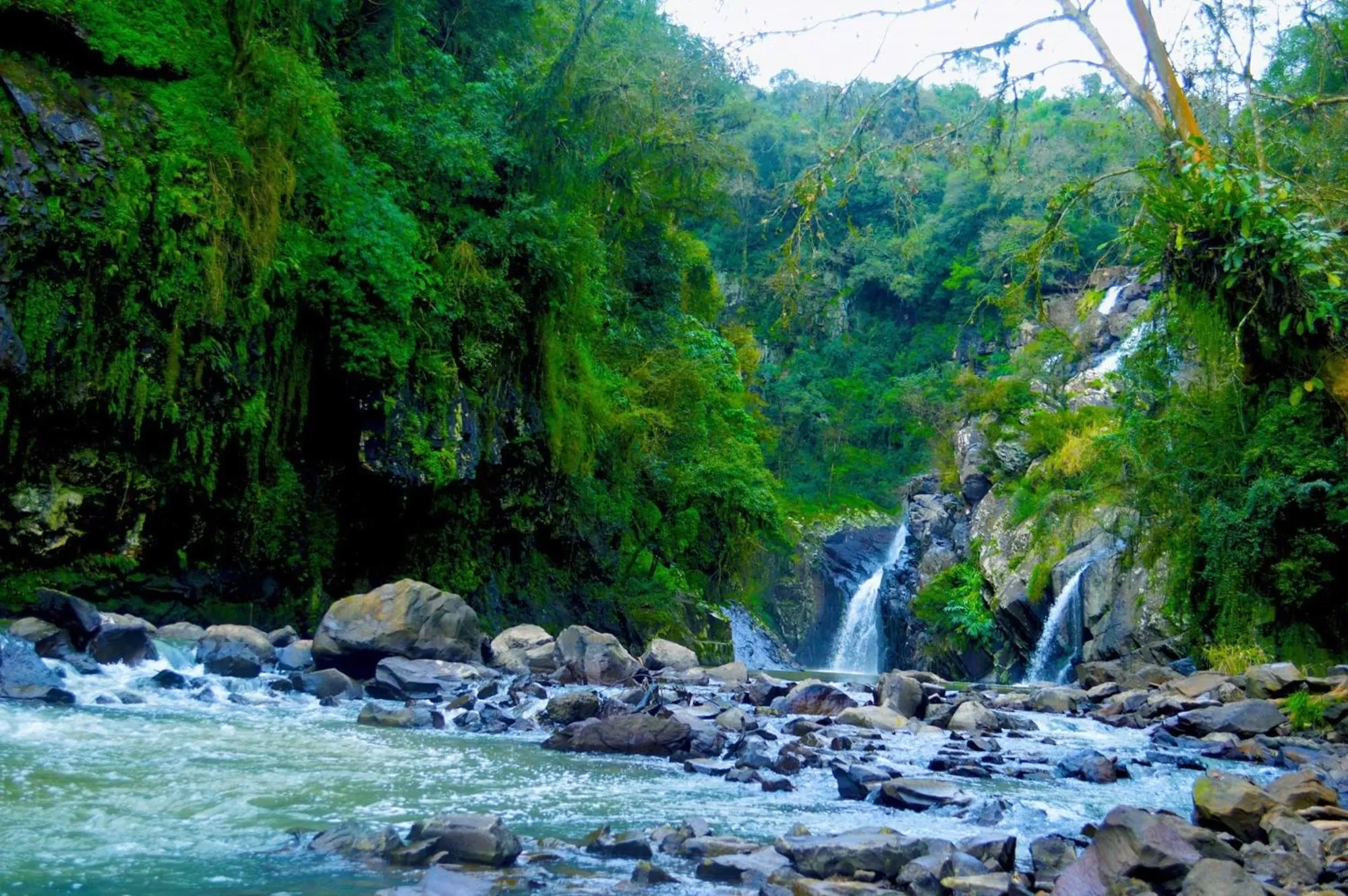 Natural landscape in Hotel Visão