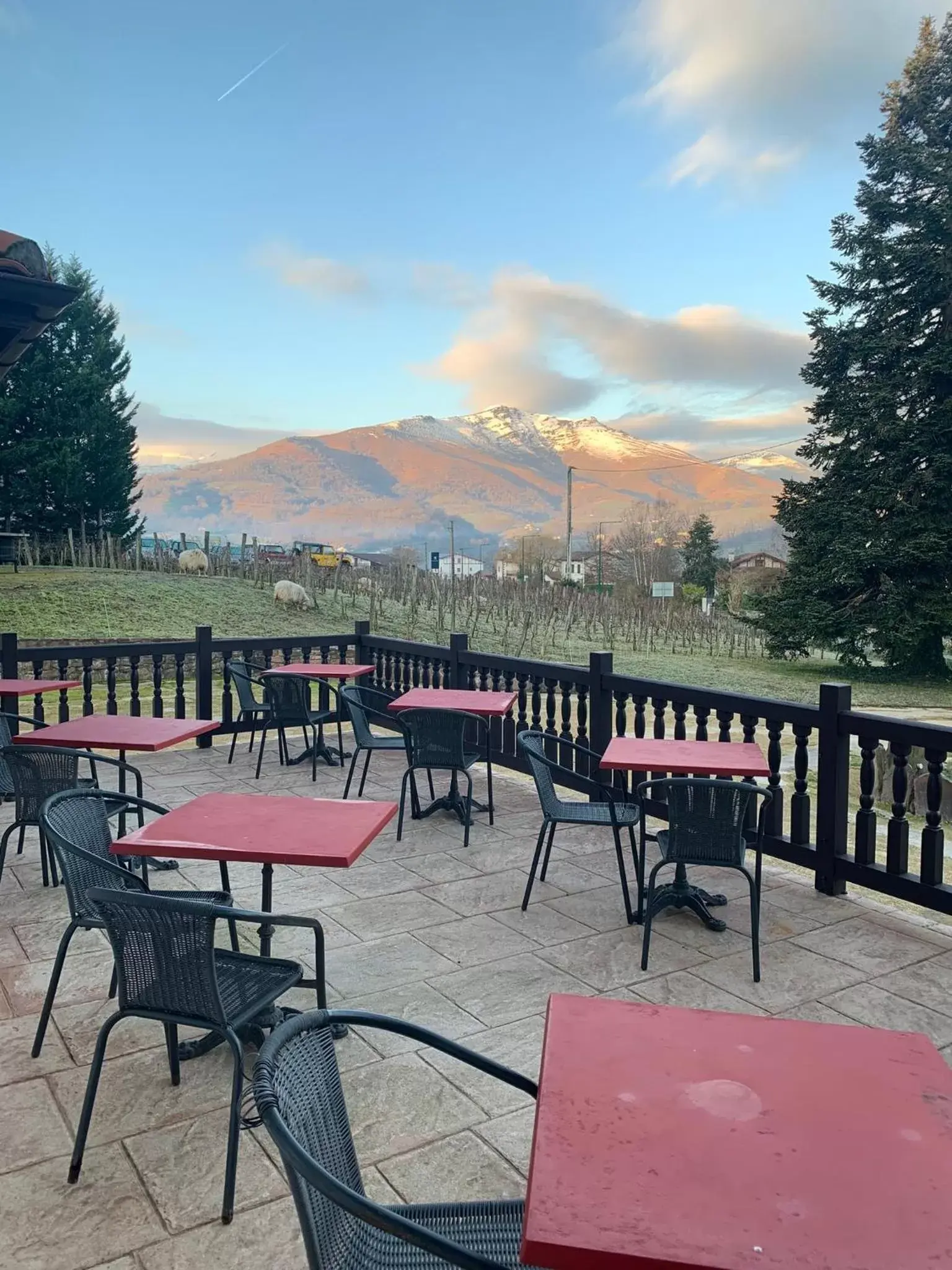 Patio in Villa Harriet