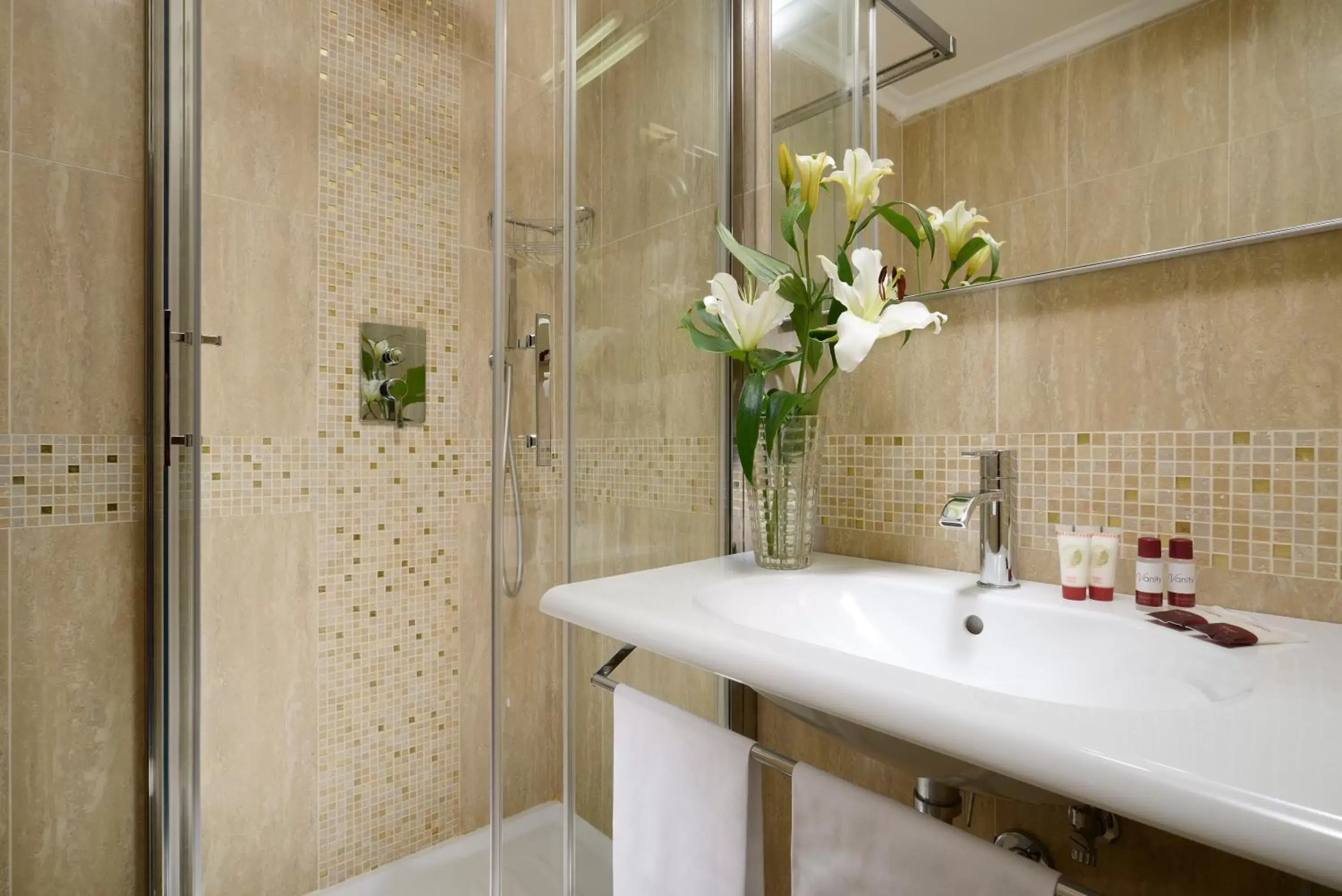 Shower, Bathroom in Hotel Bolivar