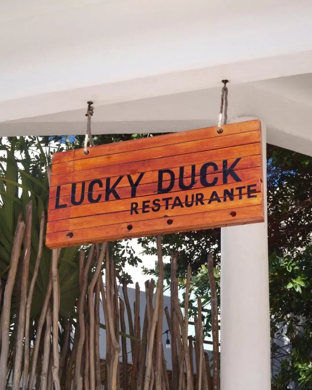 Property building in Lucky Duck PJ