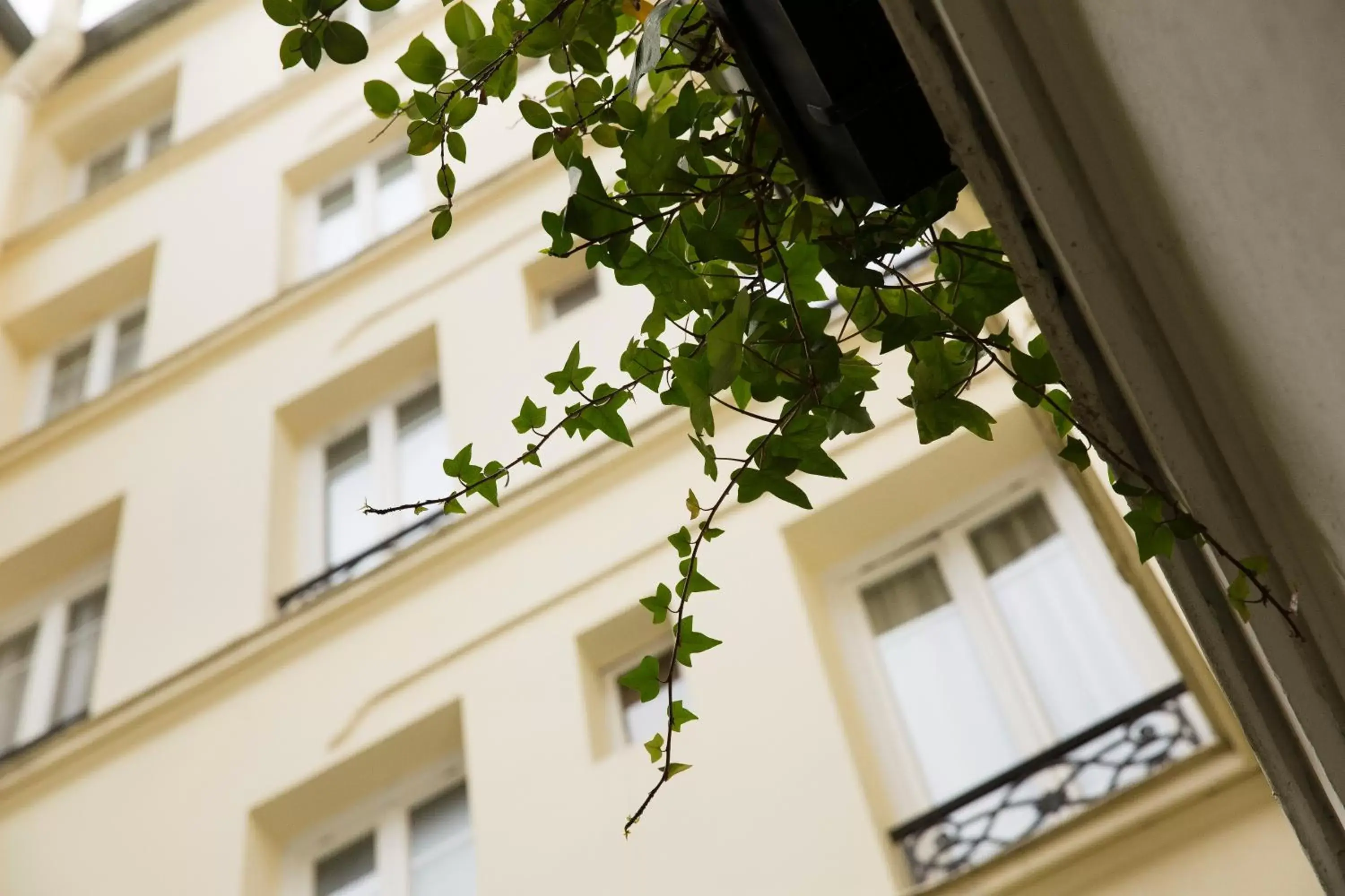 Property building in Hôtel Chaplain Paris Rive Gauche